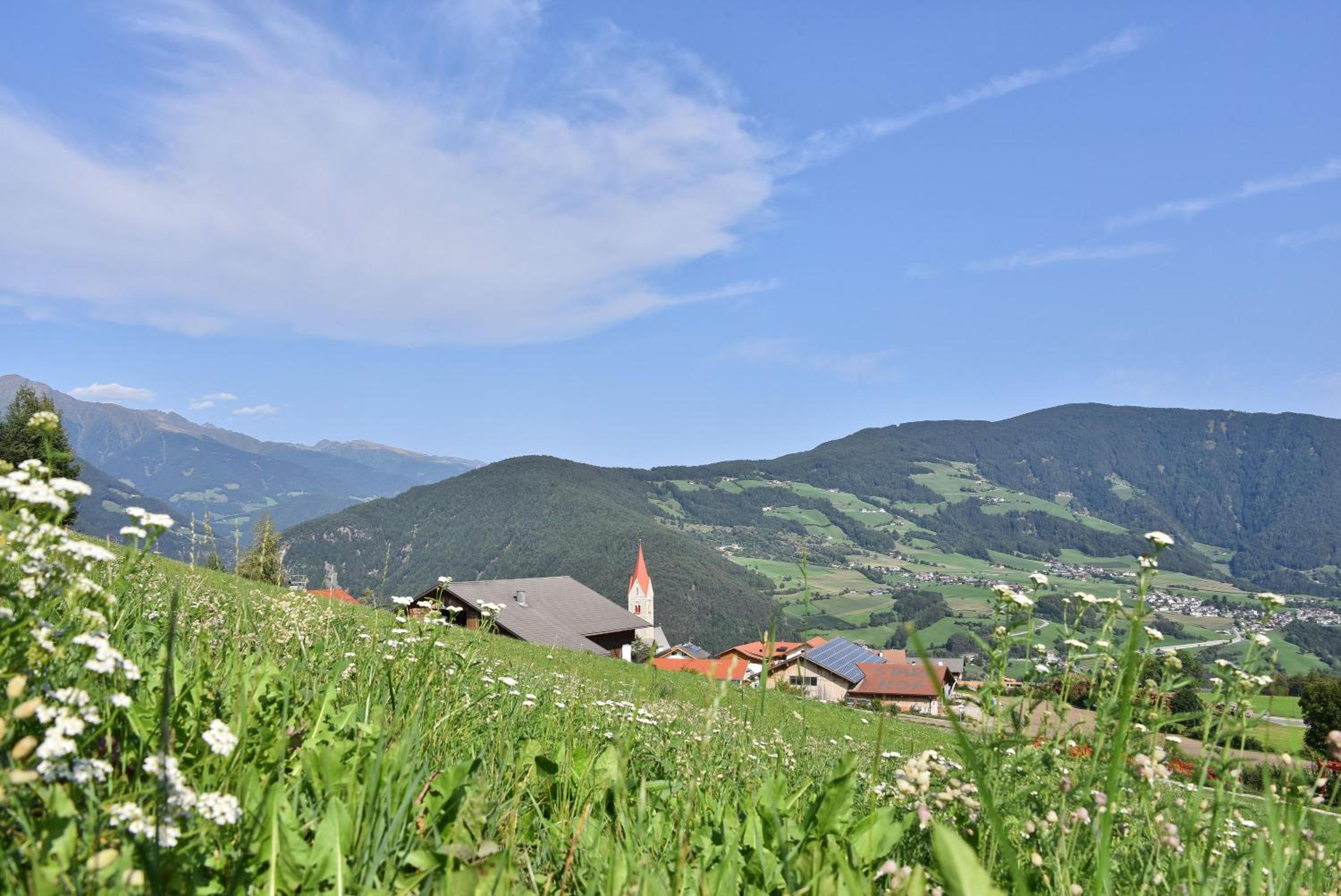 Photo 22