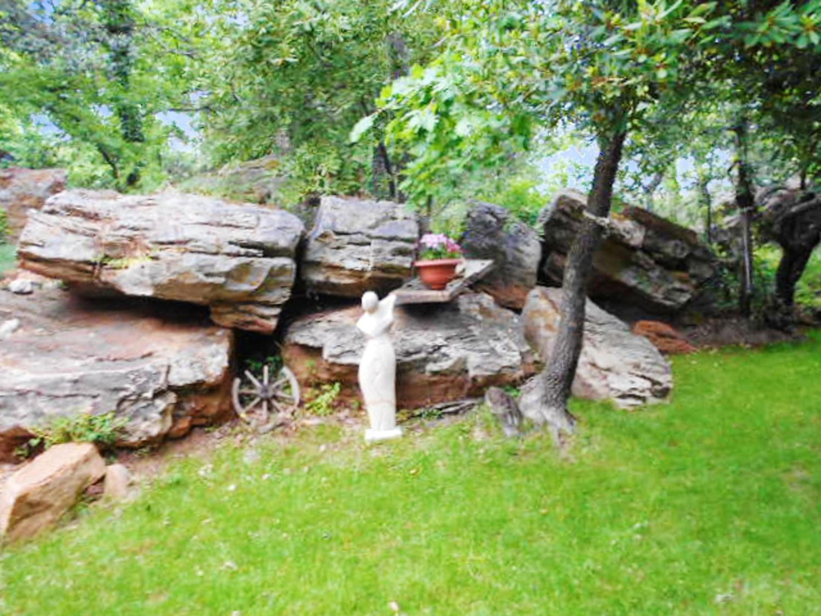 Photo 47