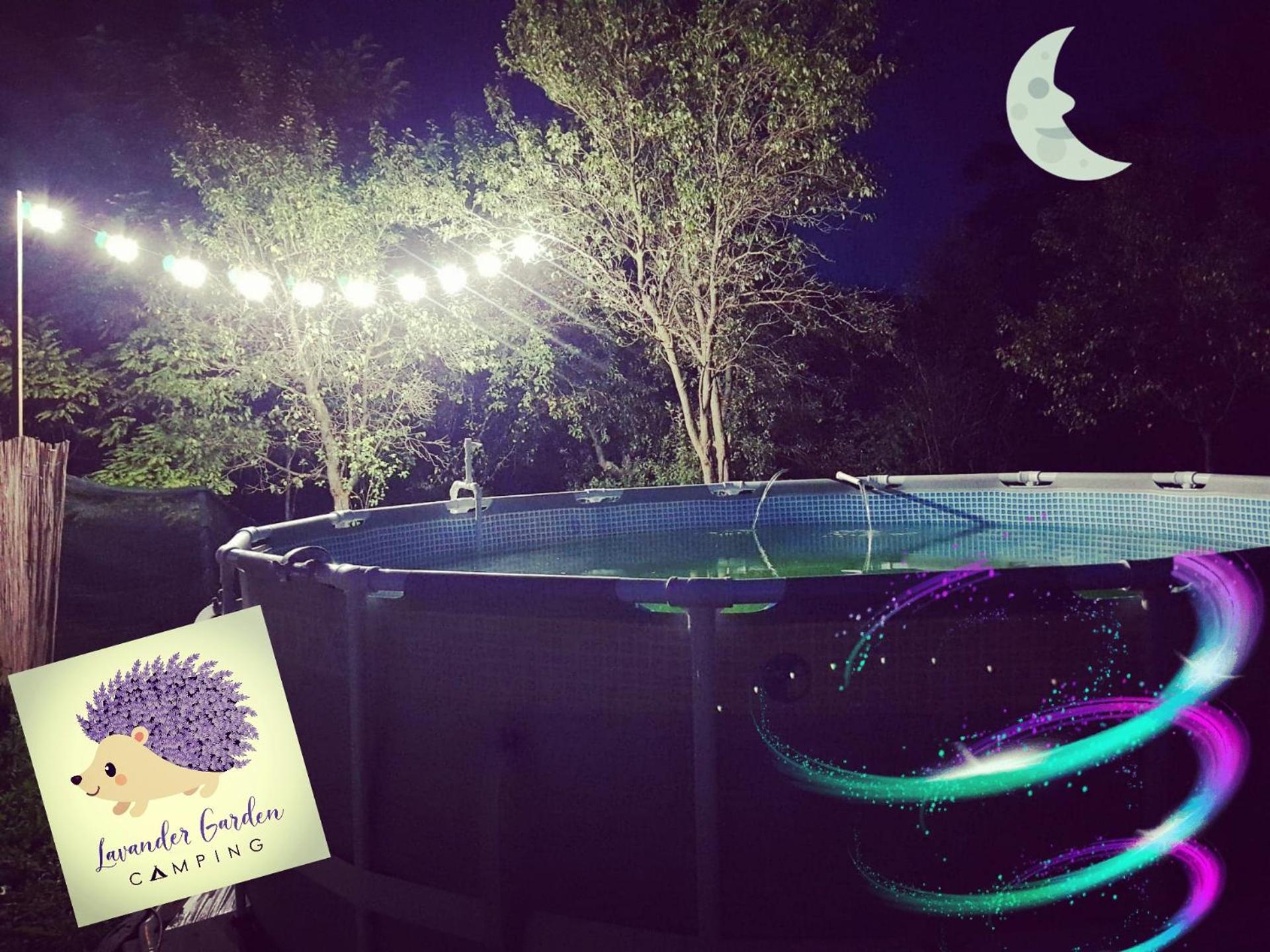 Lavander Garden Camping view 3