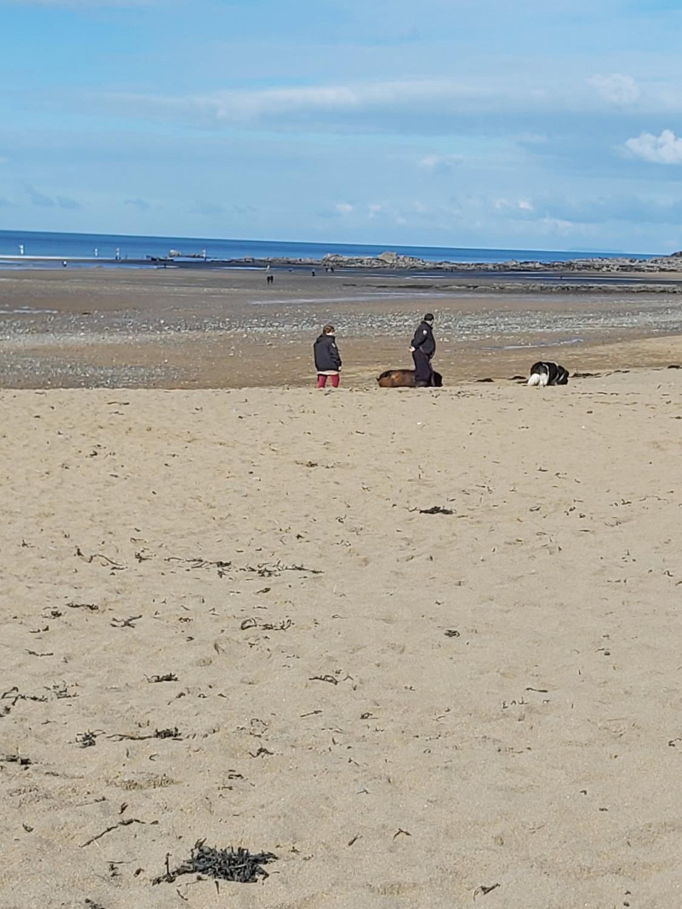 Caravan on the Devon\Cornwall border view 5