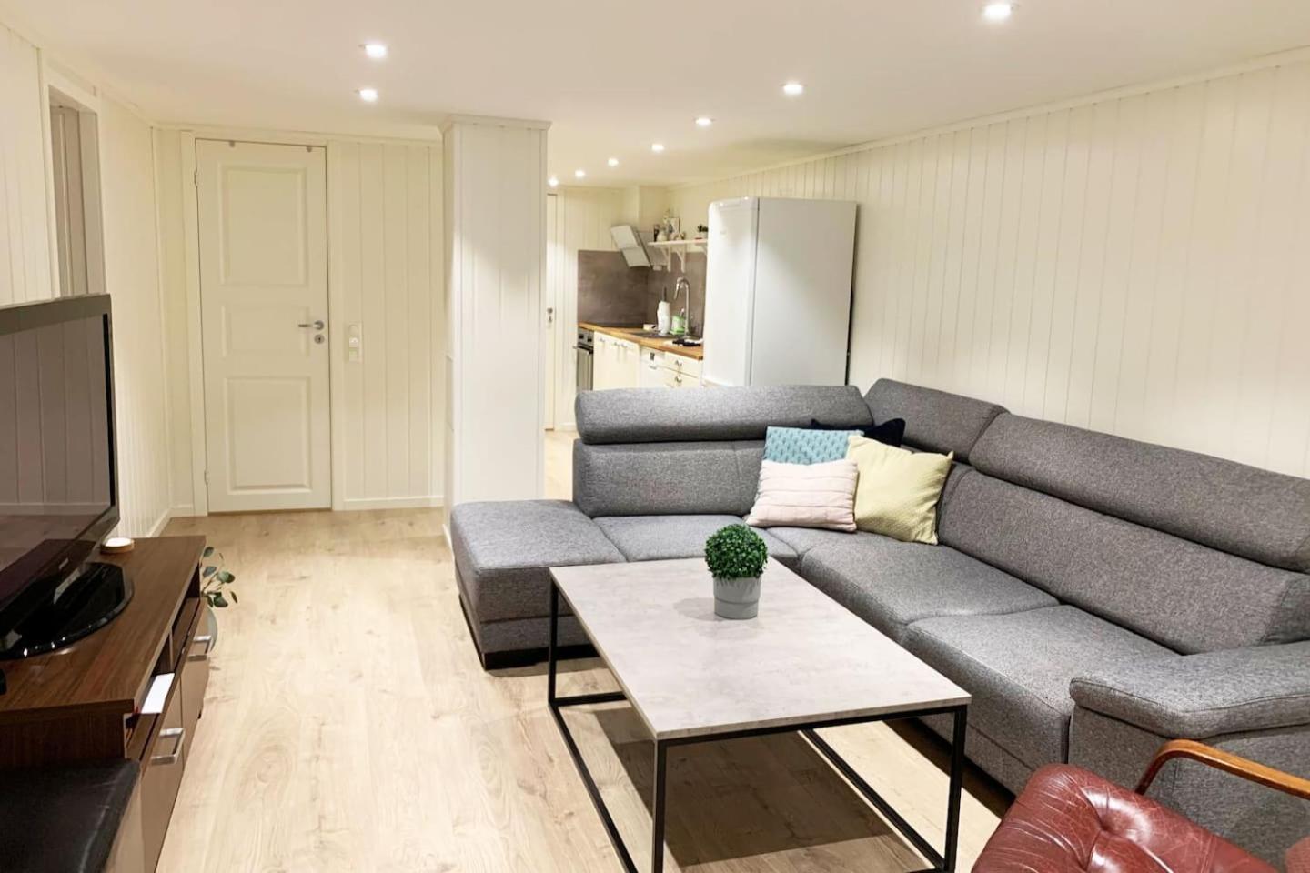 Newly renovated basement apartment