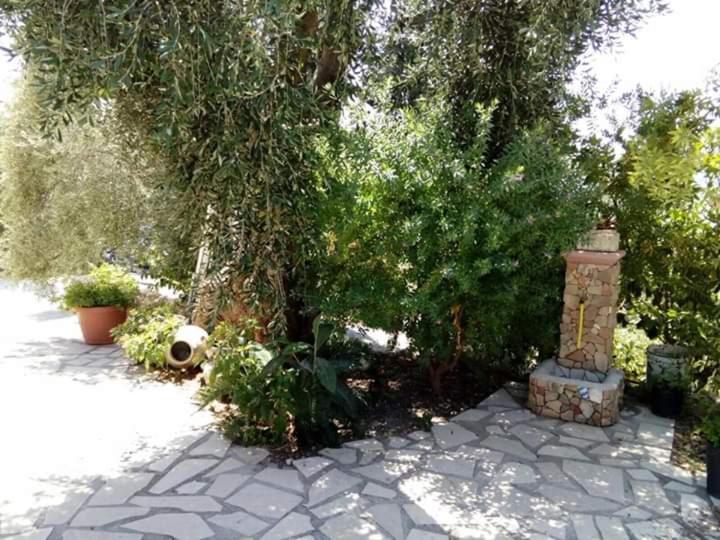 Photo 44