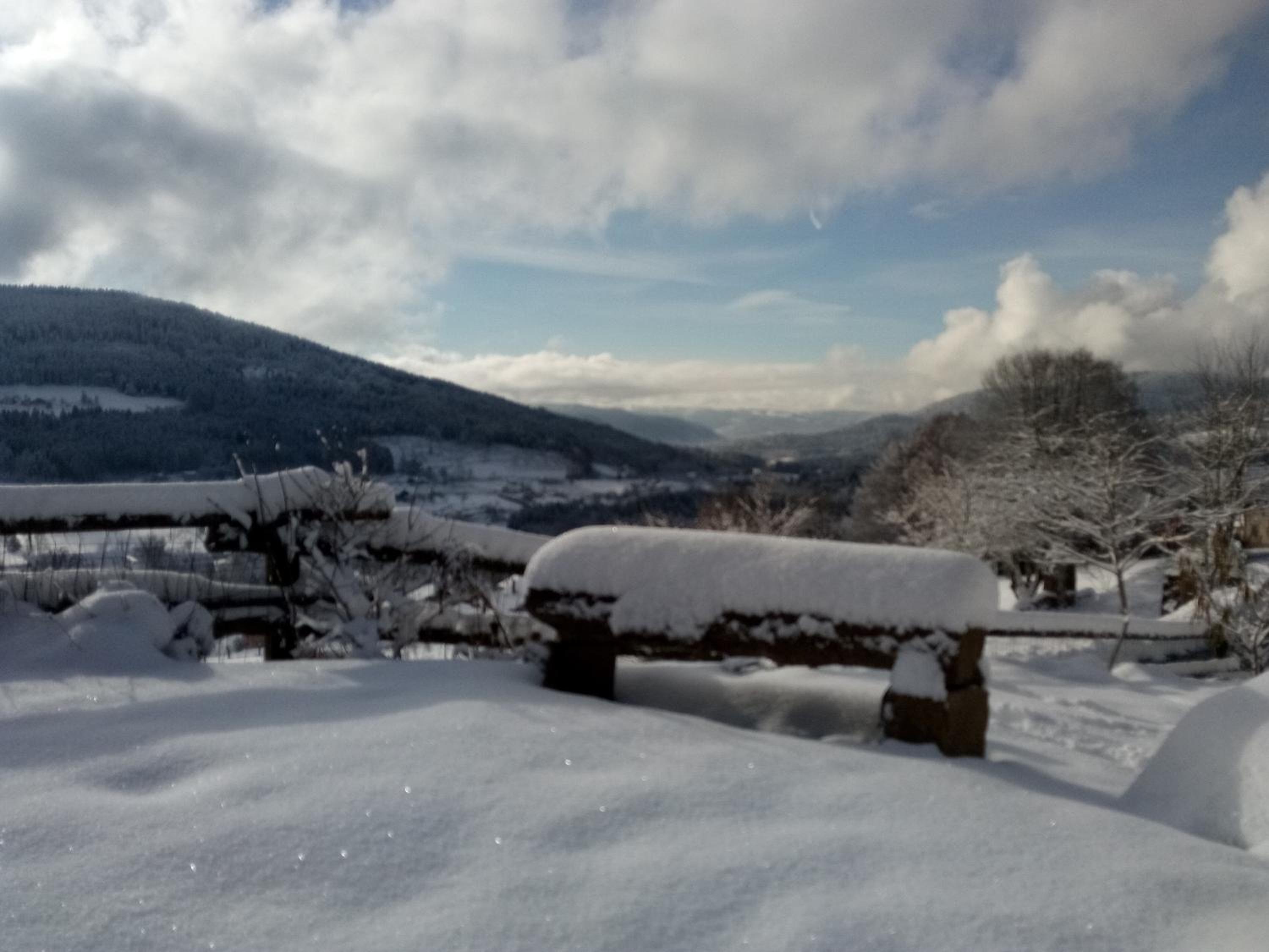 La Maison Jaune view 4