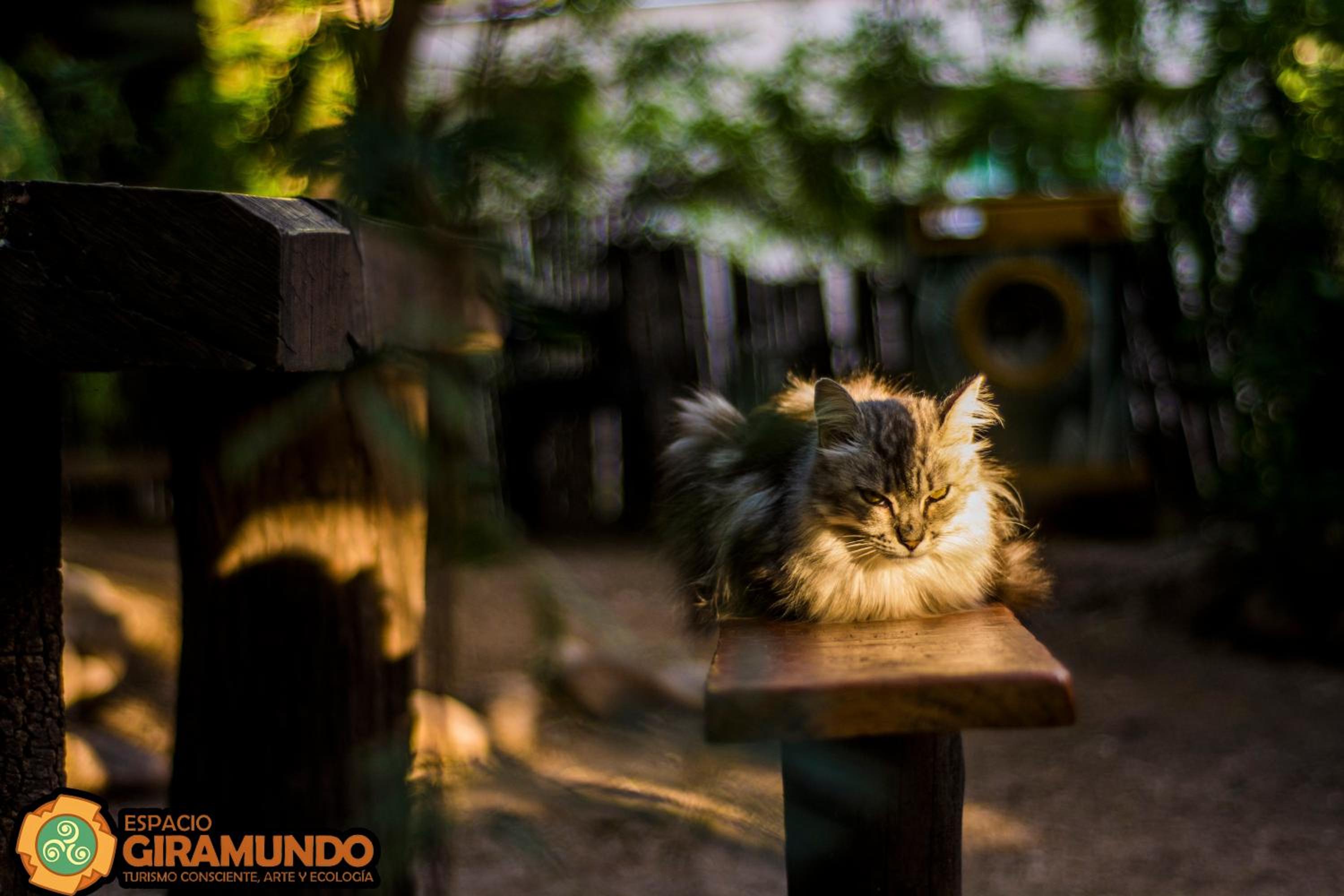 Giramundo Hostel y Posada Eco-Cultural