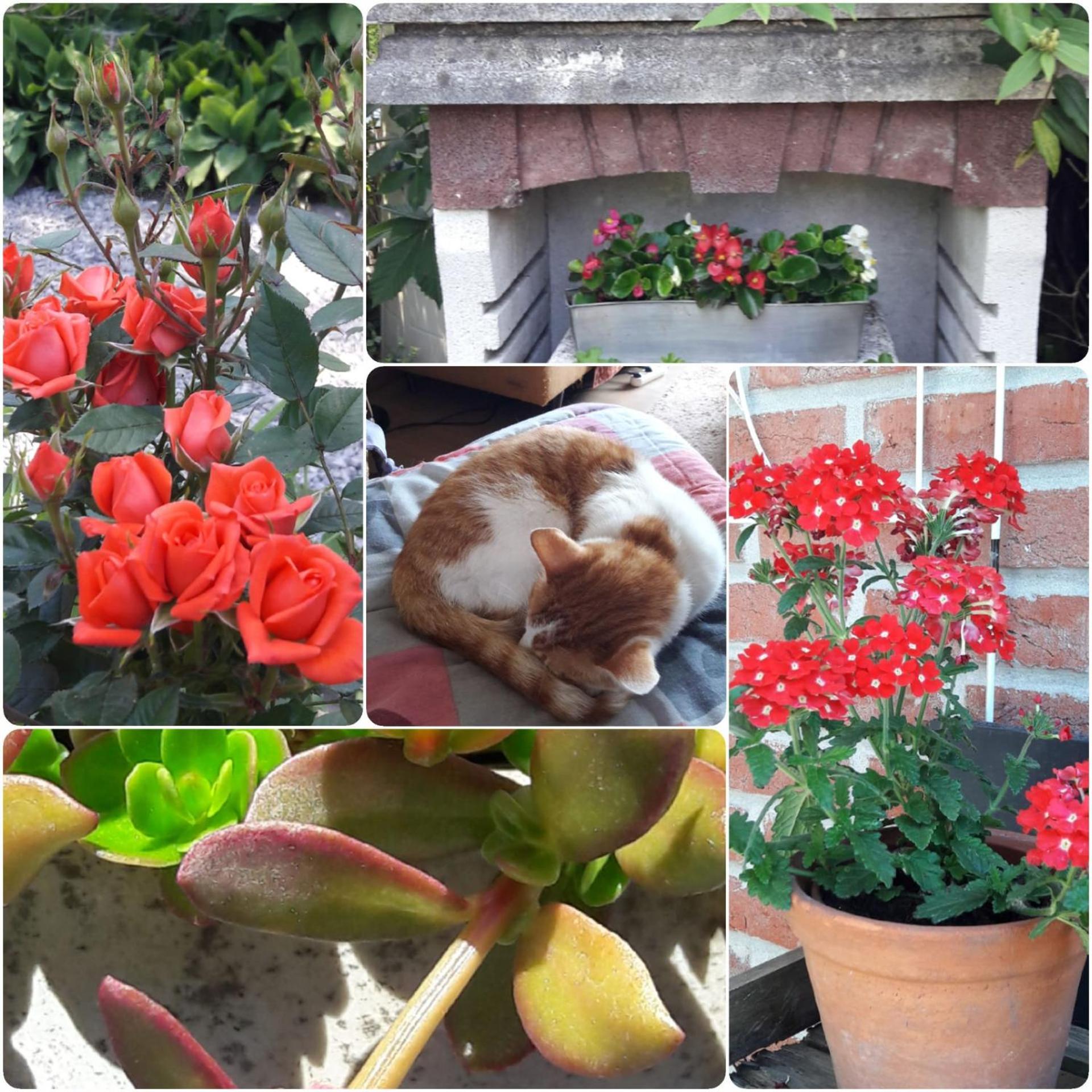 B&B 't Gezellig Huizeke