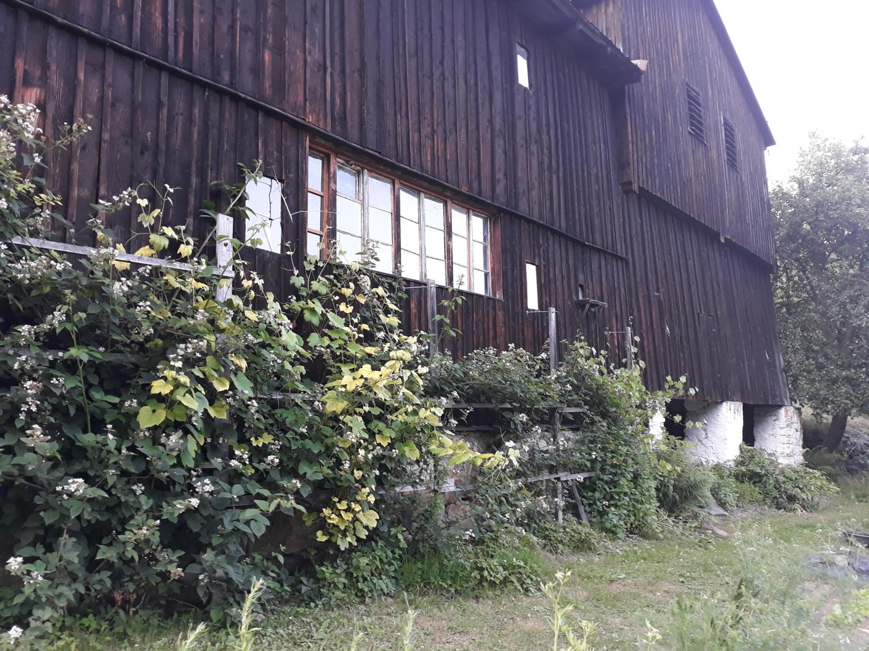 Photo 12