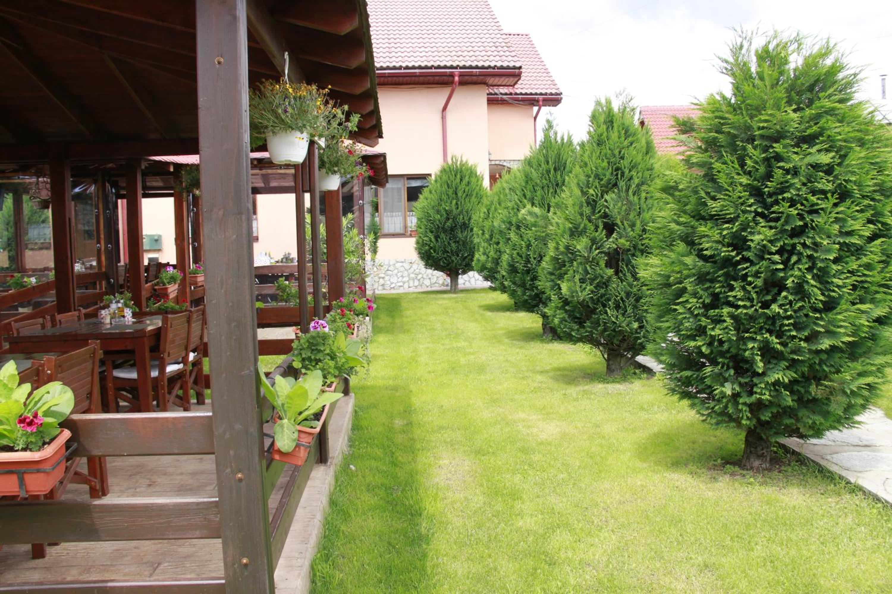 Photo 40