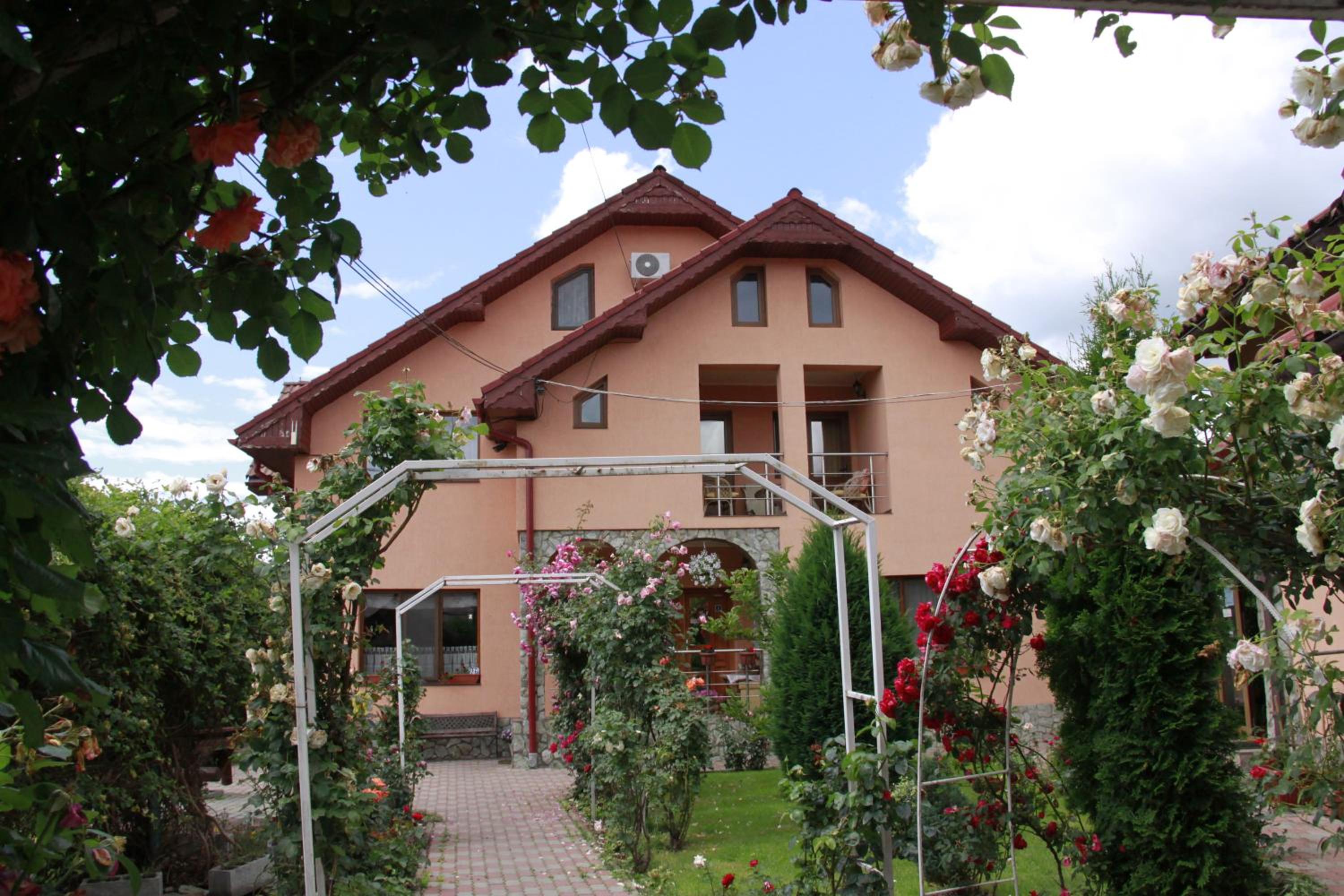 Pensiunea Andreea view 5
