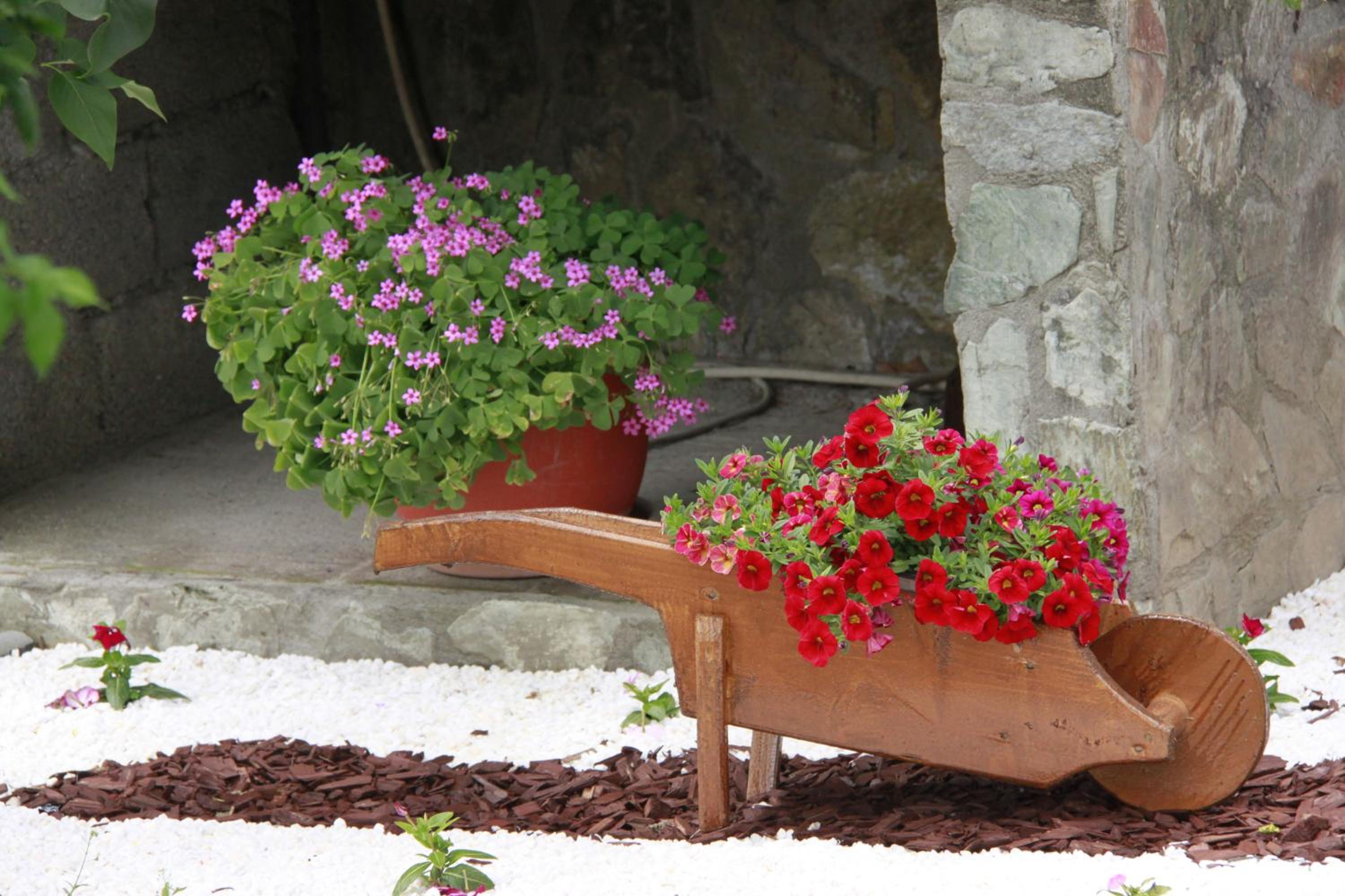 Photo 43