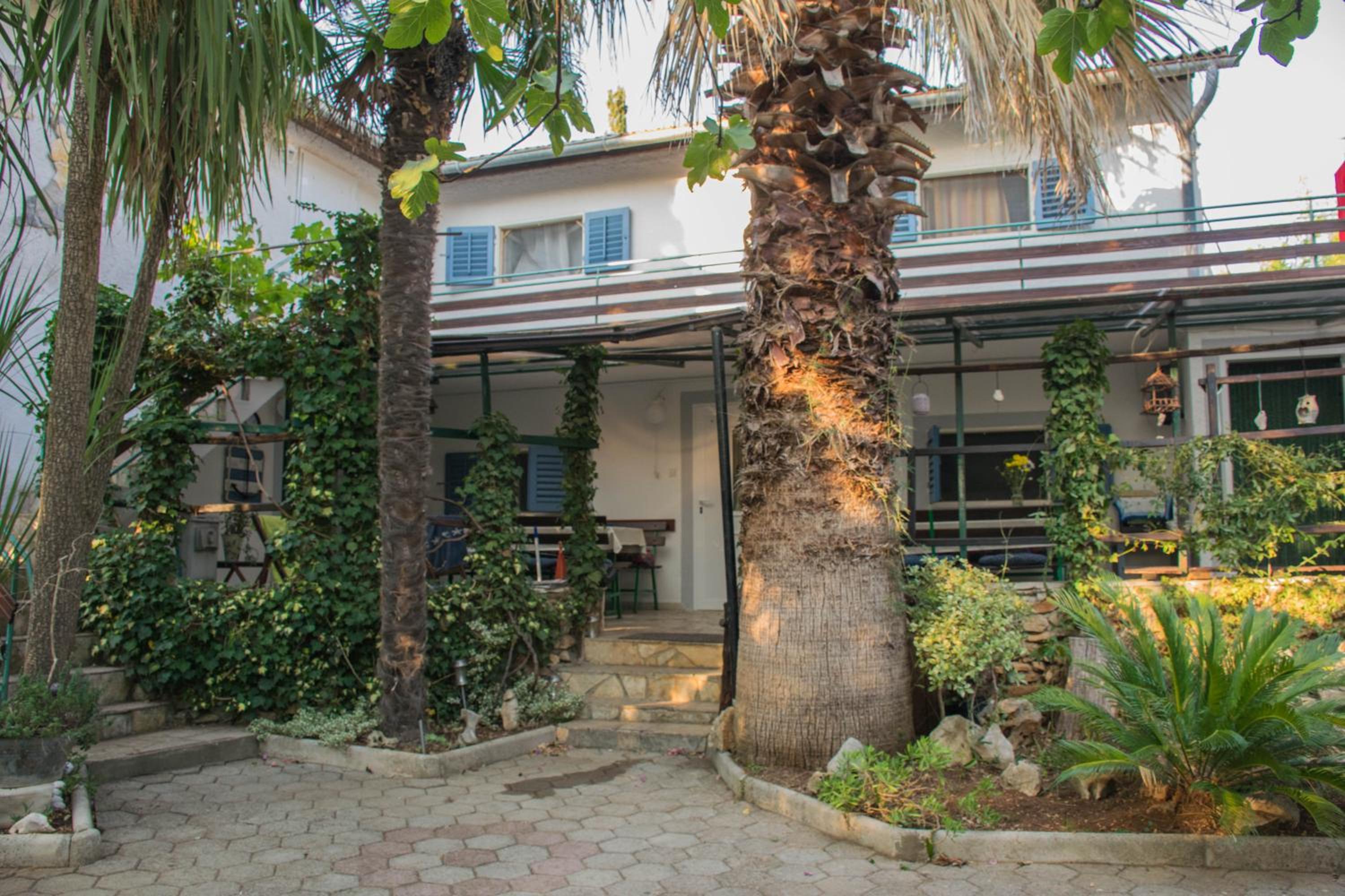 Villa Regina island Cres, 70m from the sea
