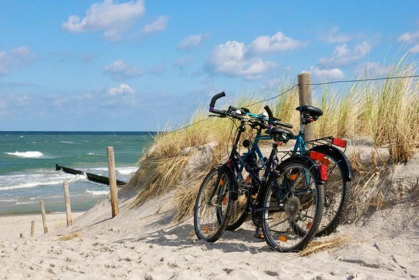 Ostsee Robbe