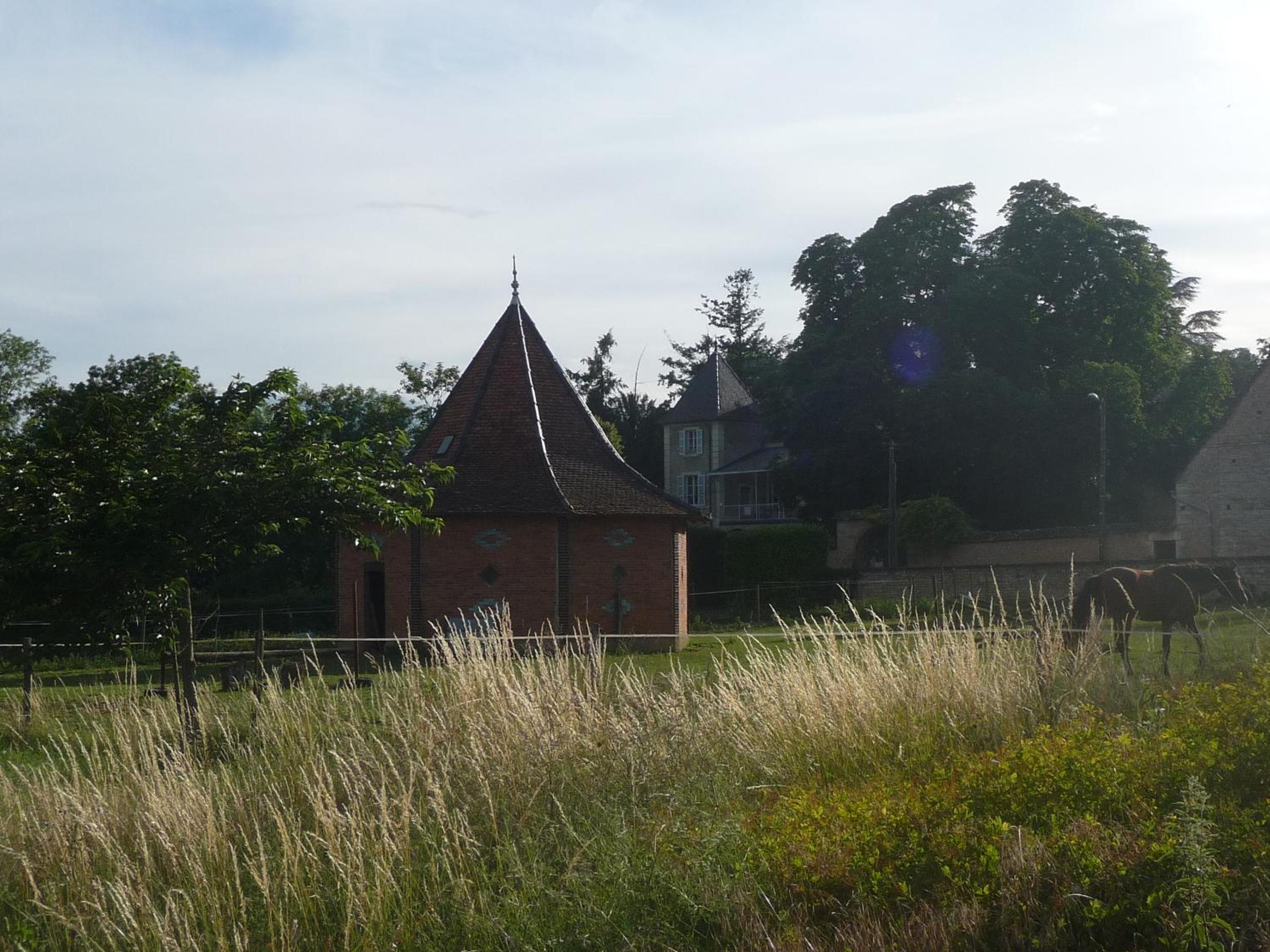 Photo 21