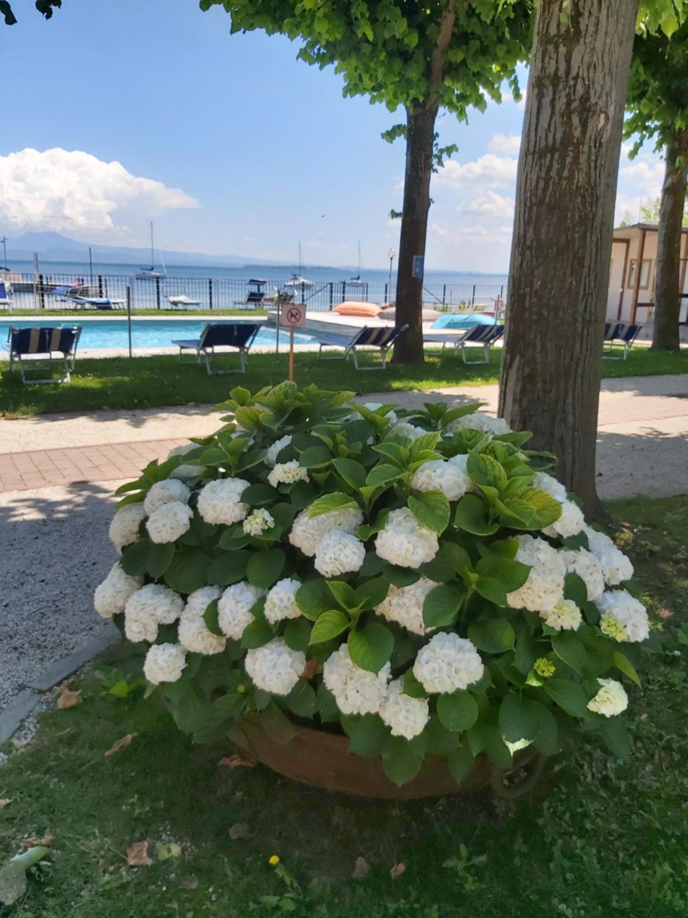Villaggio Turistico dei Tigli