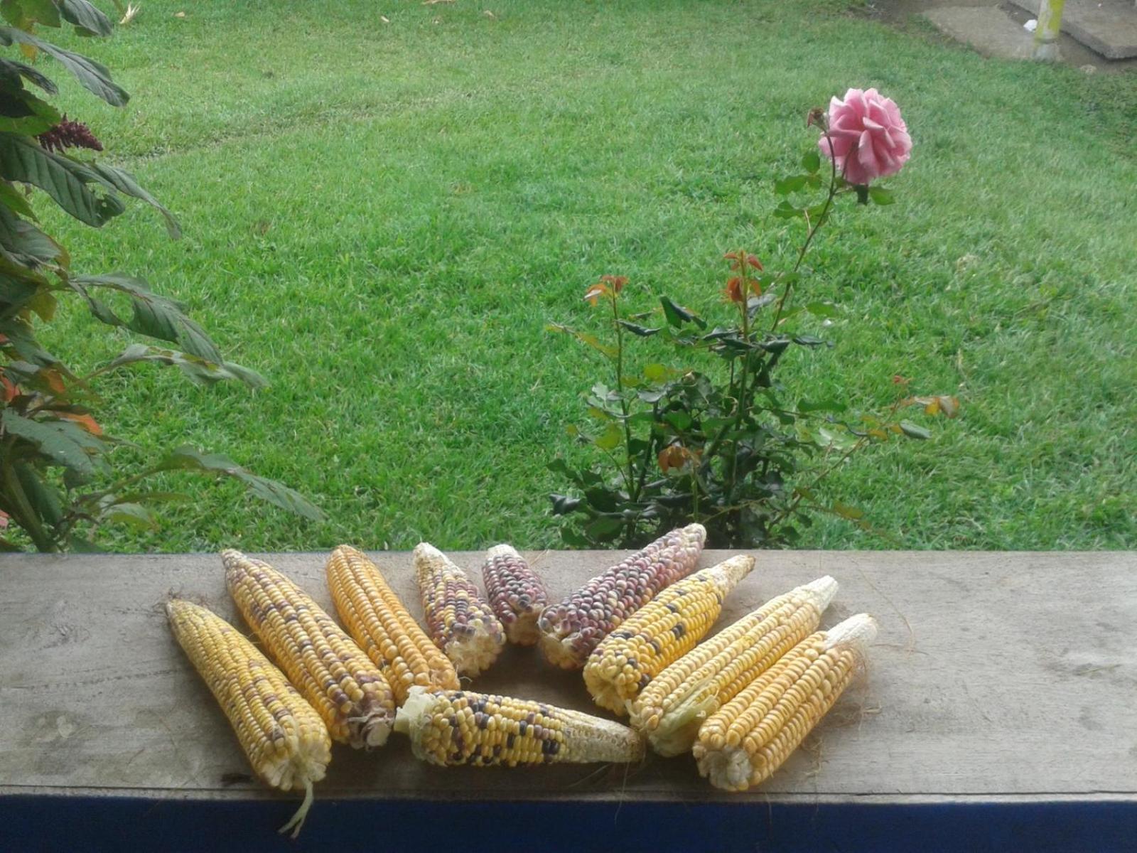 Finca El Topacio Circasia-Quindio