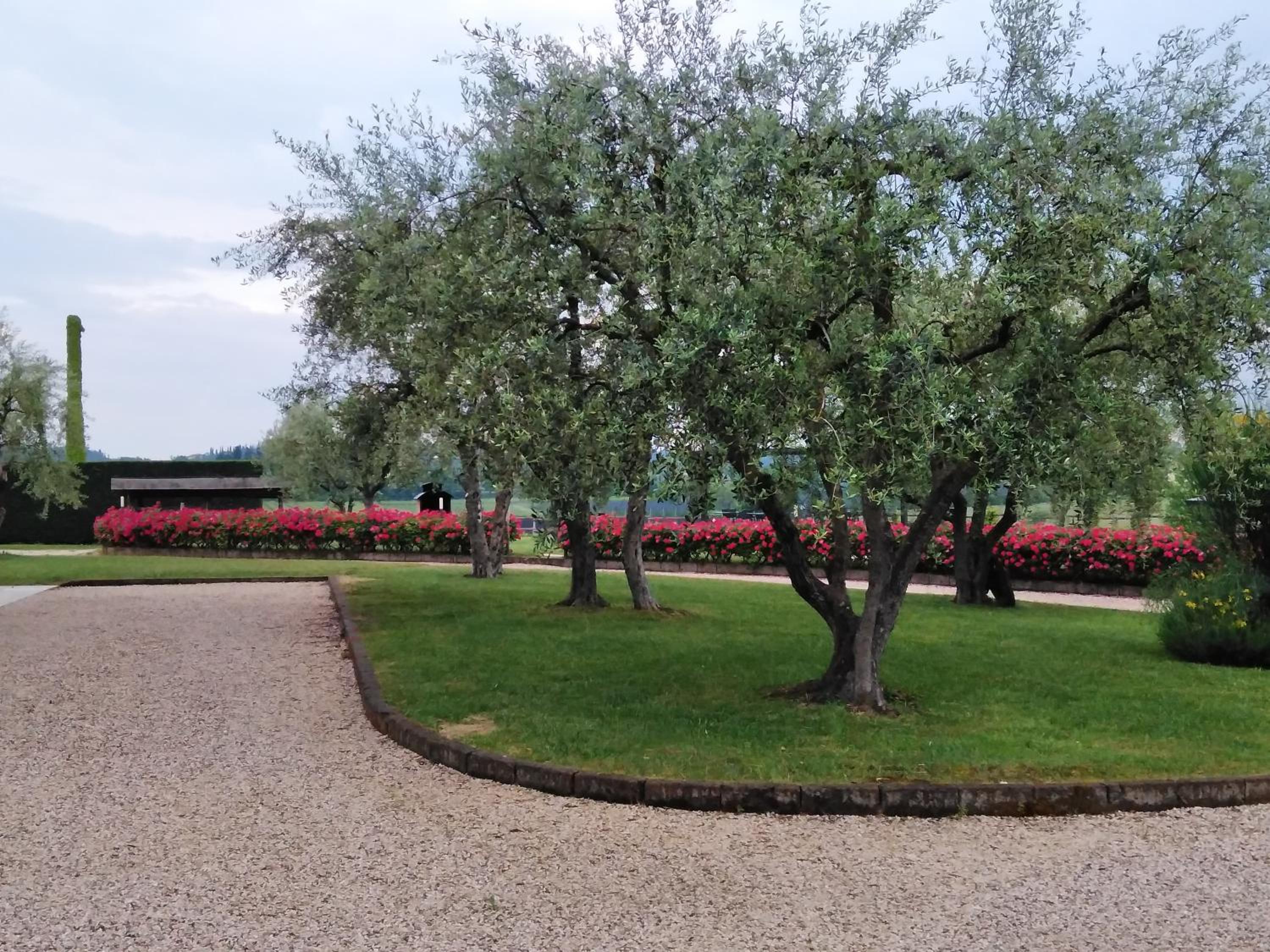 Agriturismo Le Ginestre view 3