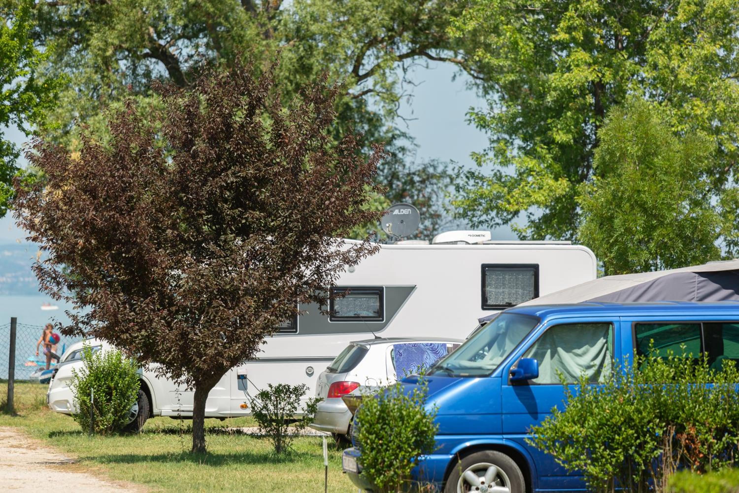 Aranypart Camping