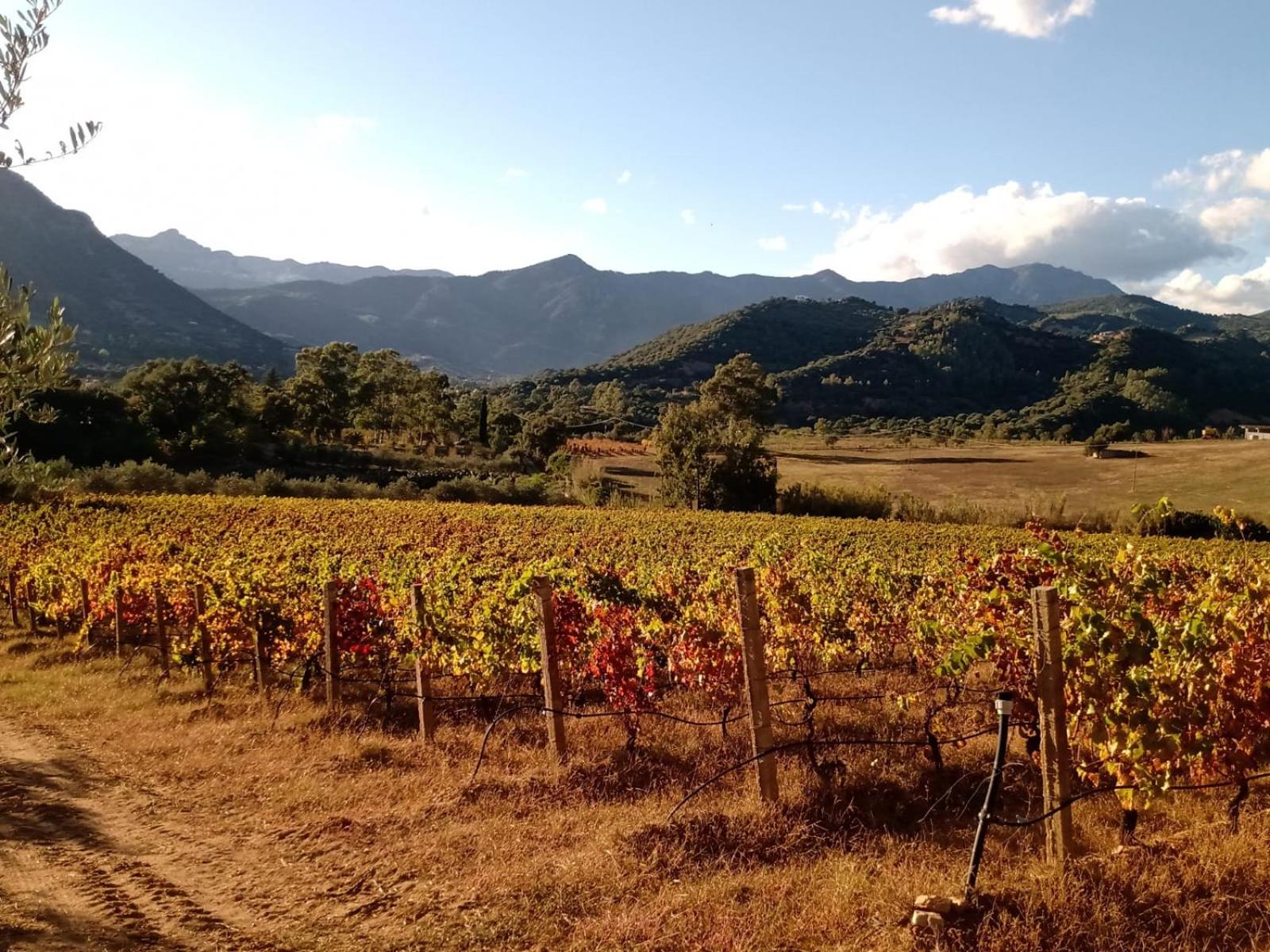 Sa Perda Arrubia view 4