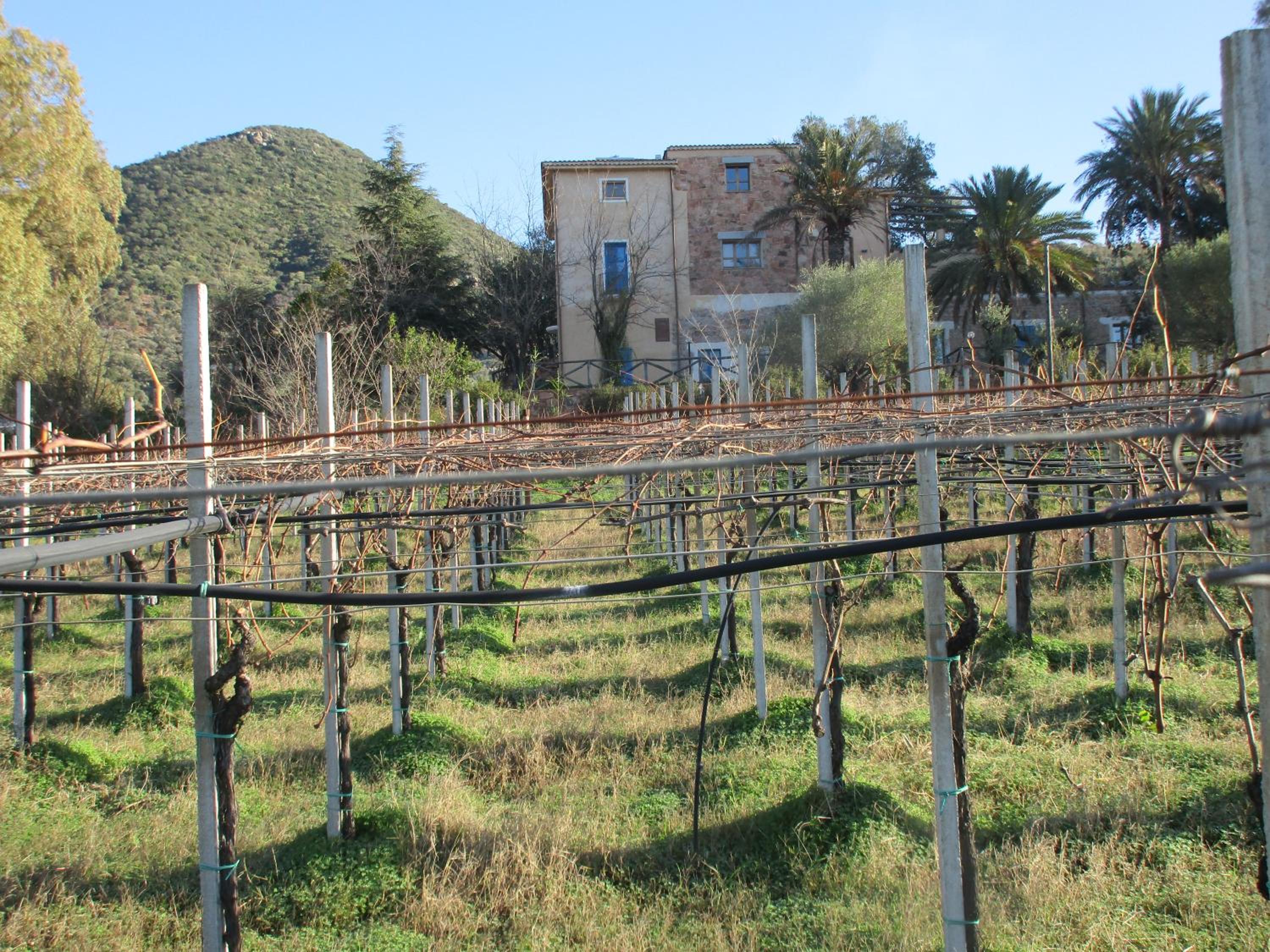 Sa Perda Arrubia view 3