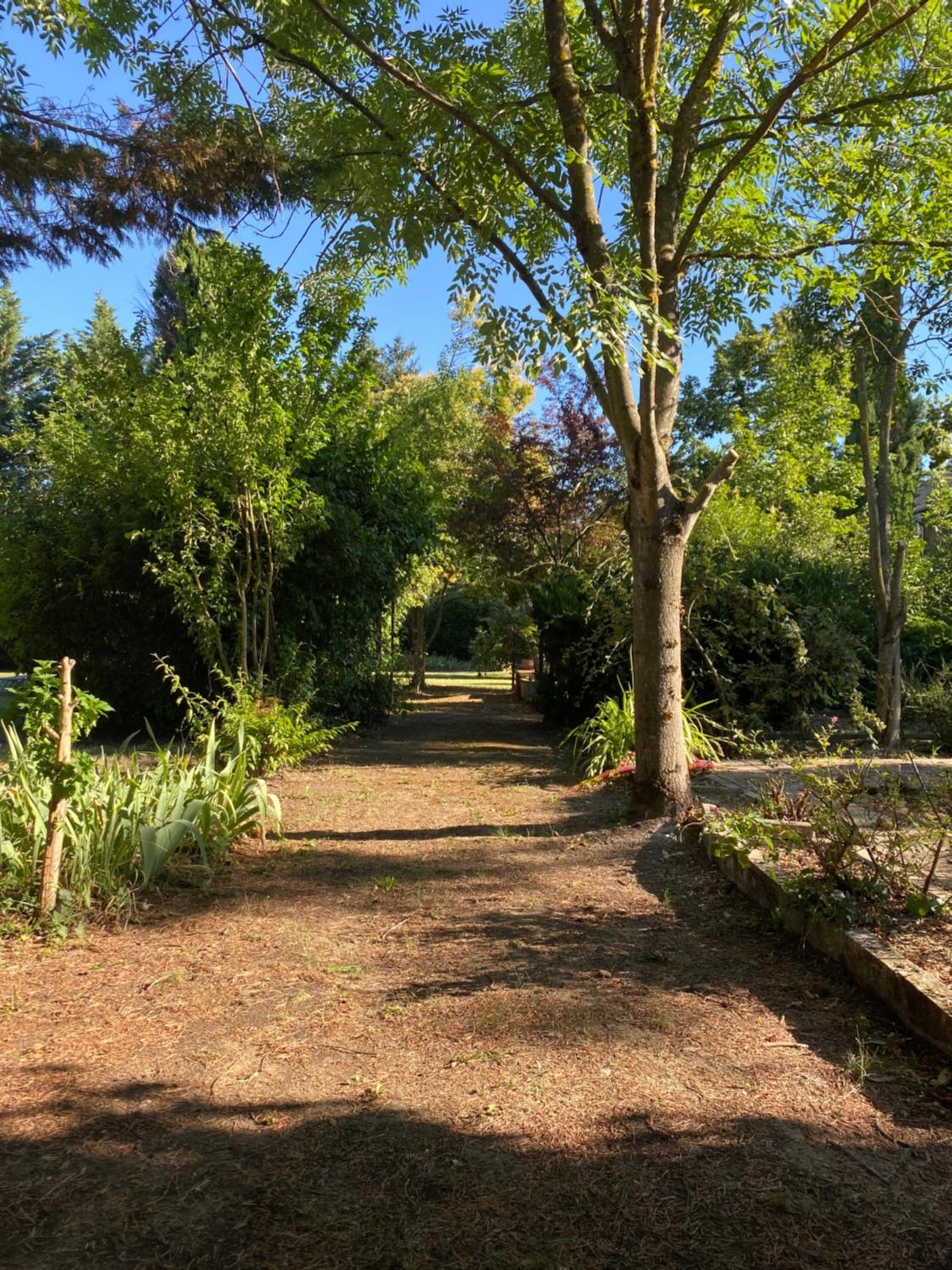 Le Cocon de Curson chambre d'hôtes