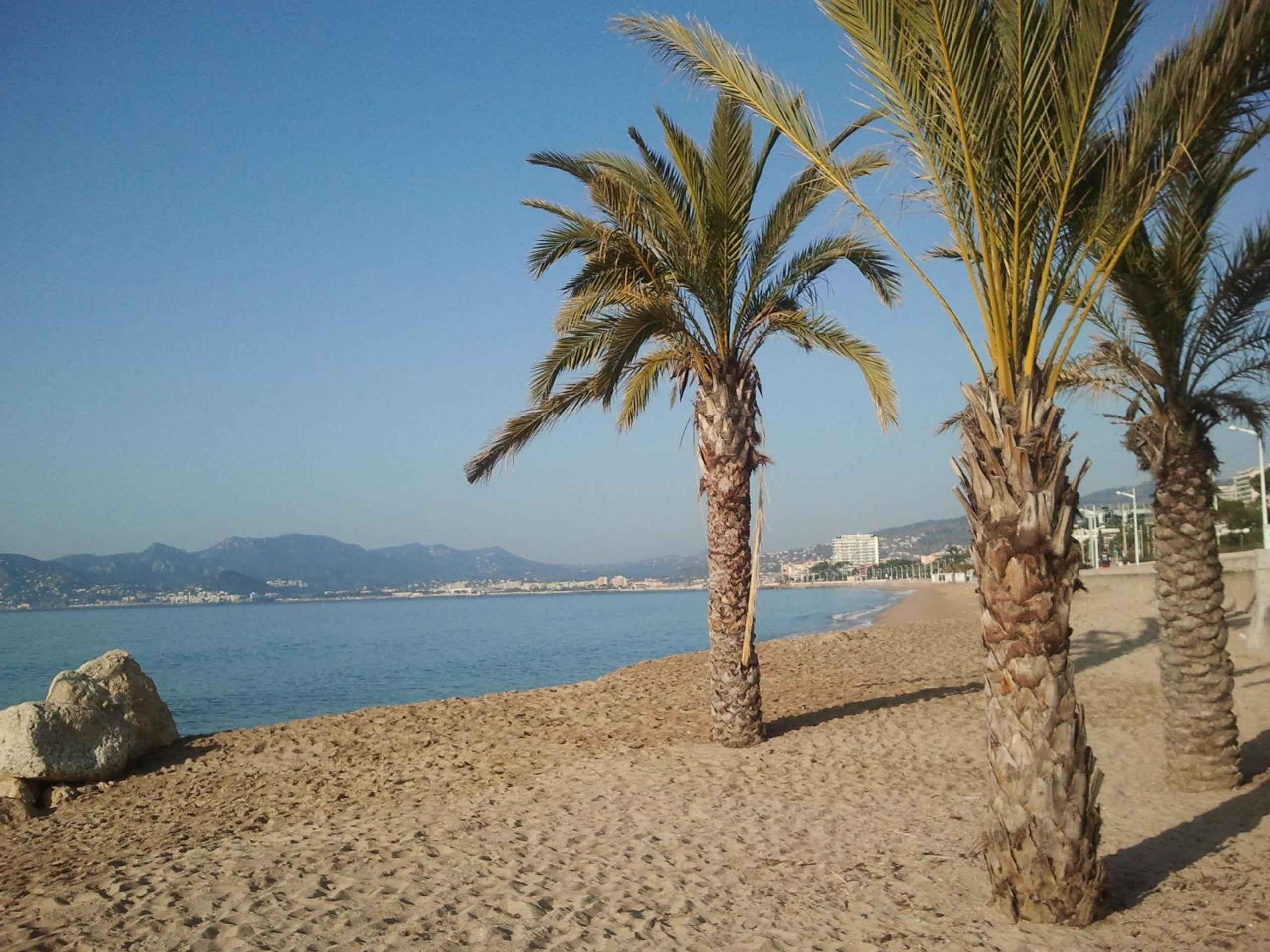 Holiday or Congress, Centre - Beach