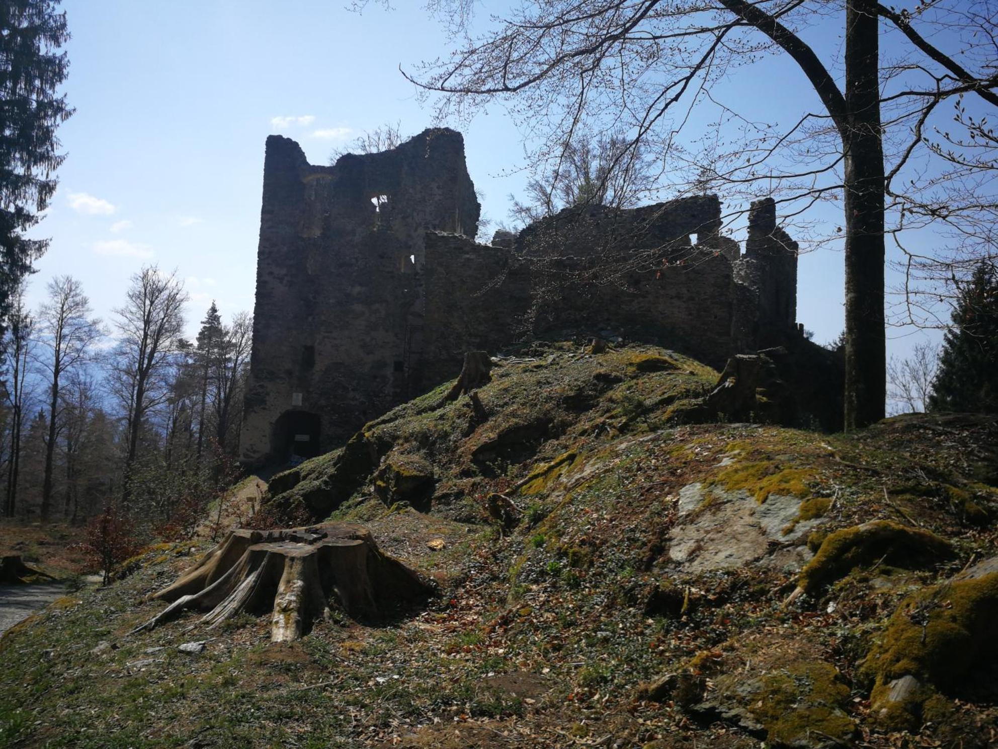 Photo 23