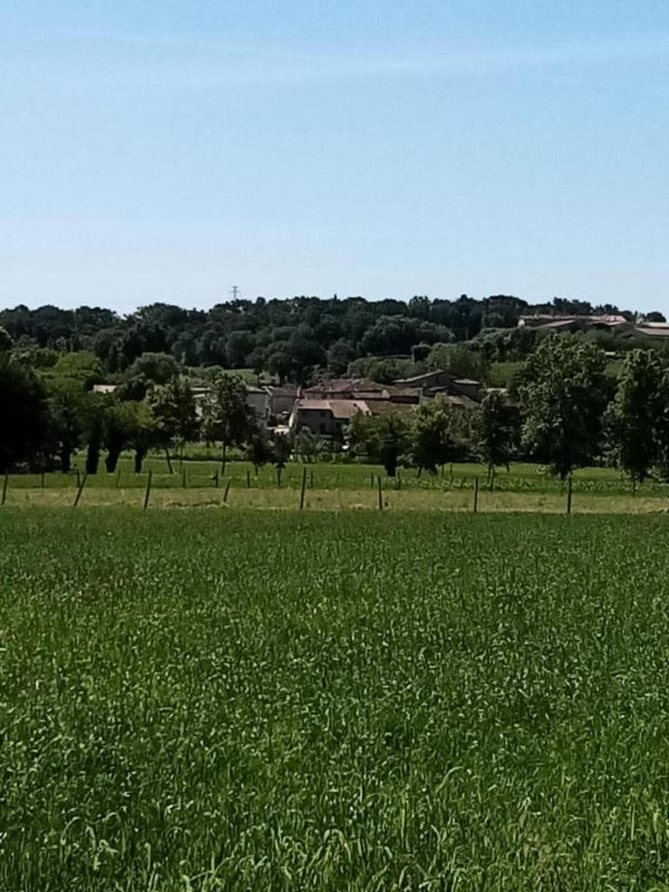Agriturismo Nuvolino view 4