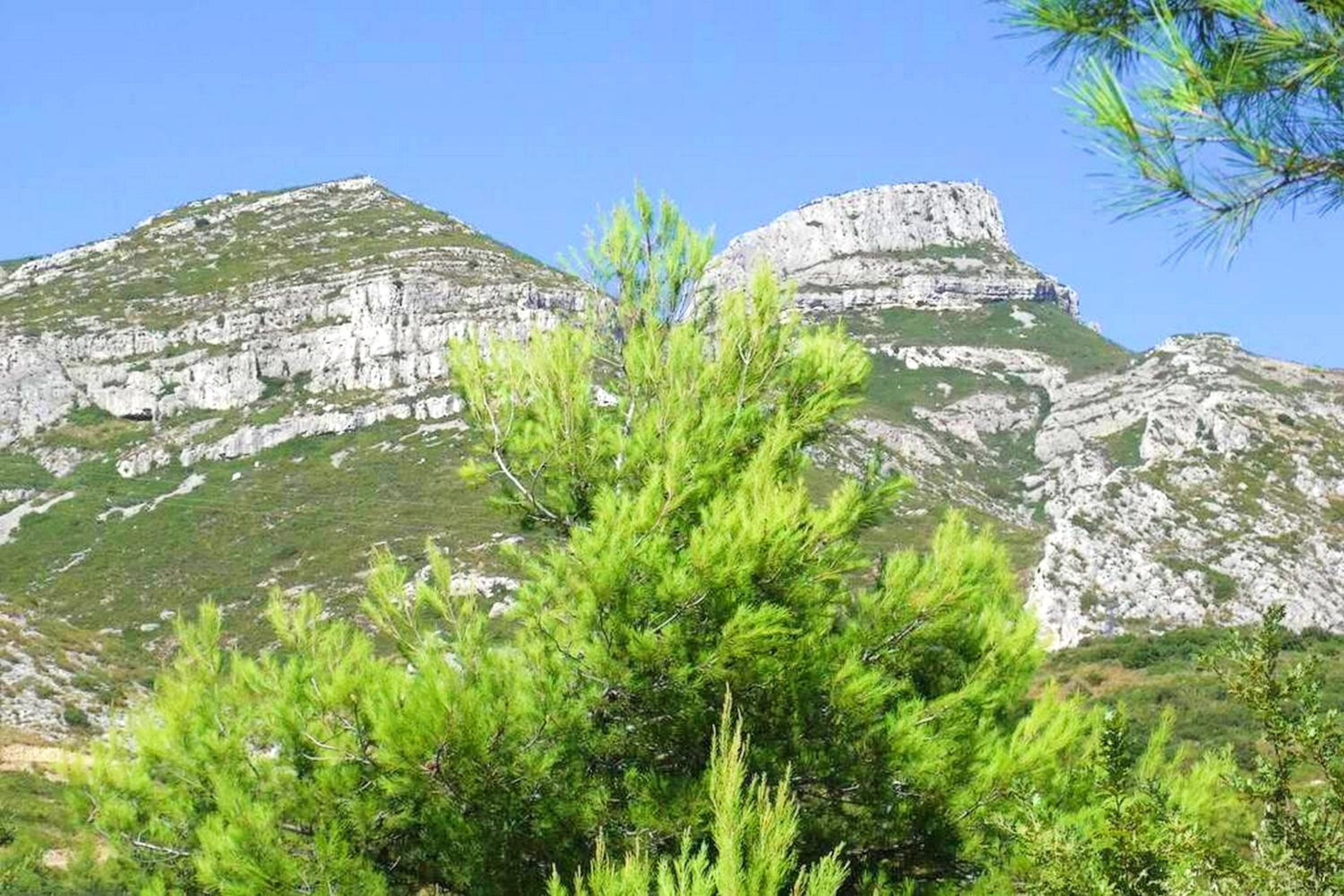 RARE - Escale Bicolore - Bas de villa privé proche de Cassis avec PISCINE CHAUFFÉE