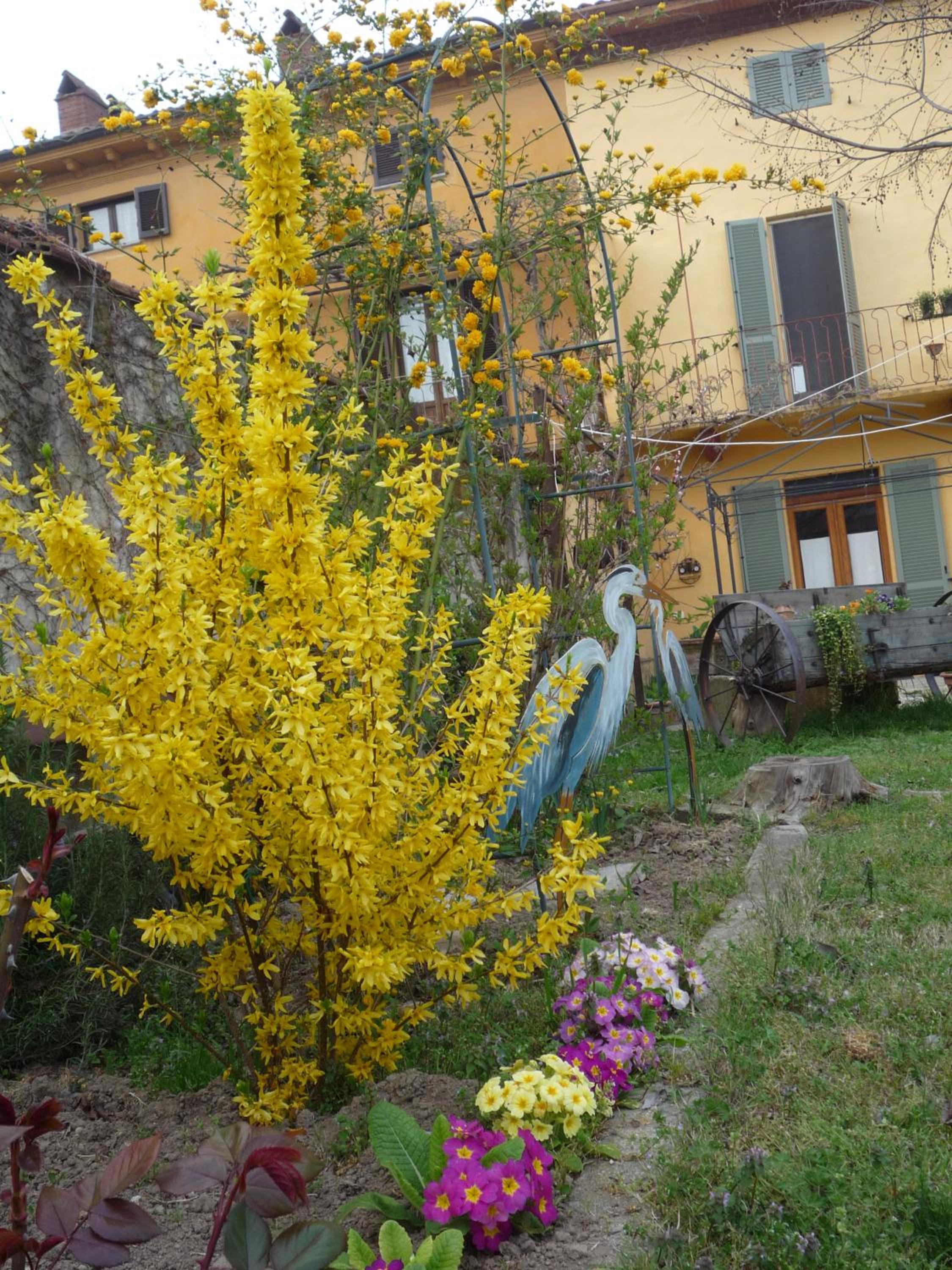 Photo 39