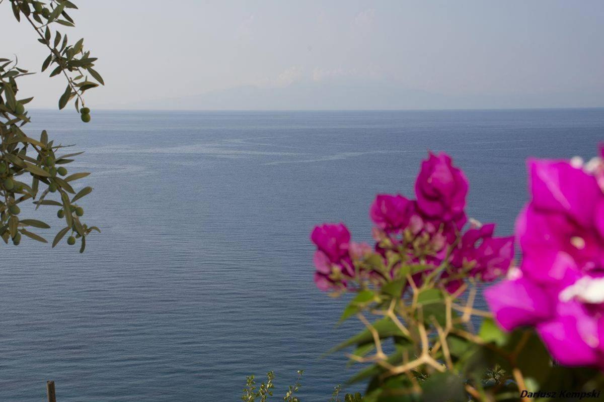 Blue View