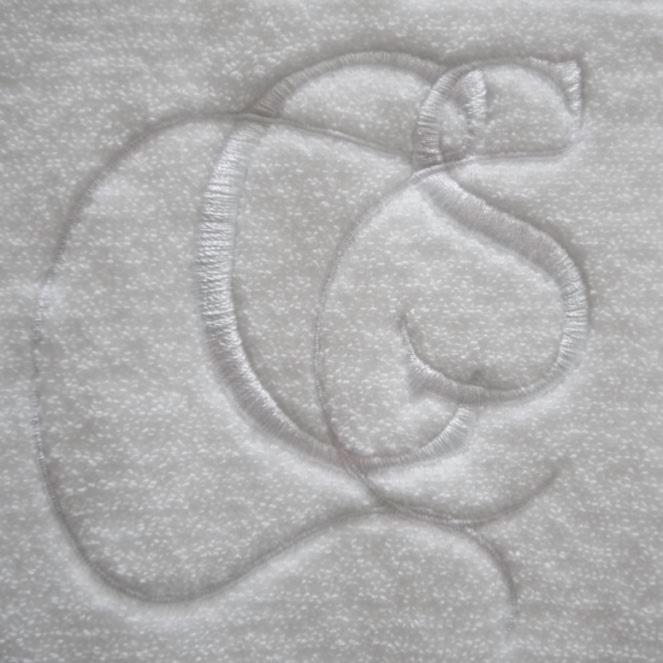 Photo 43