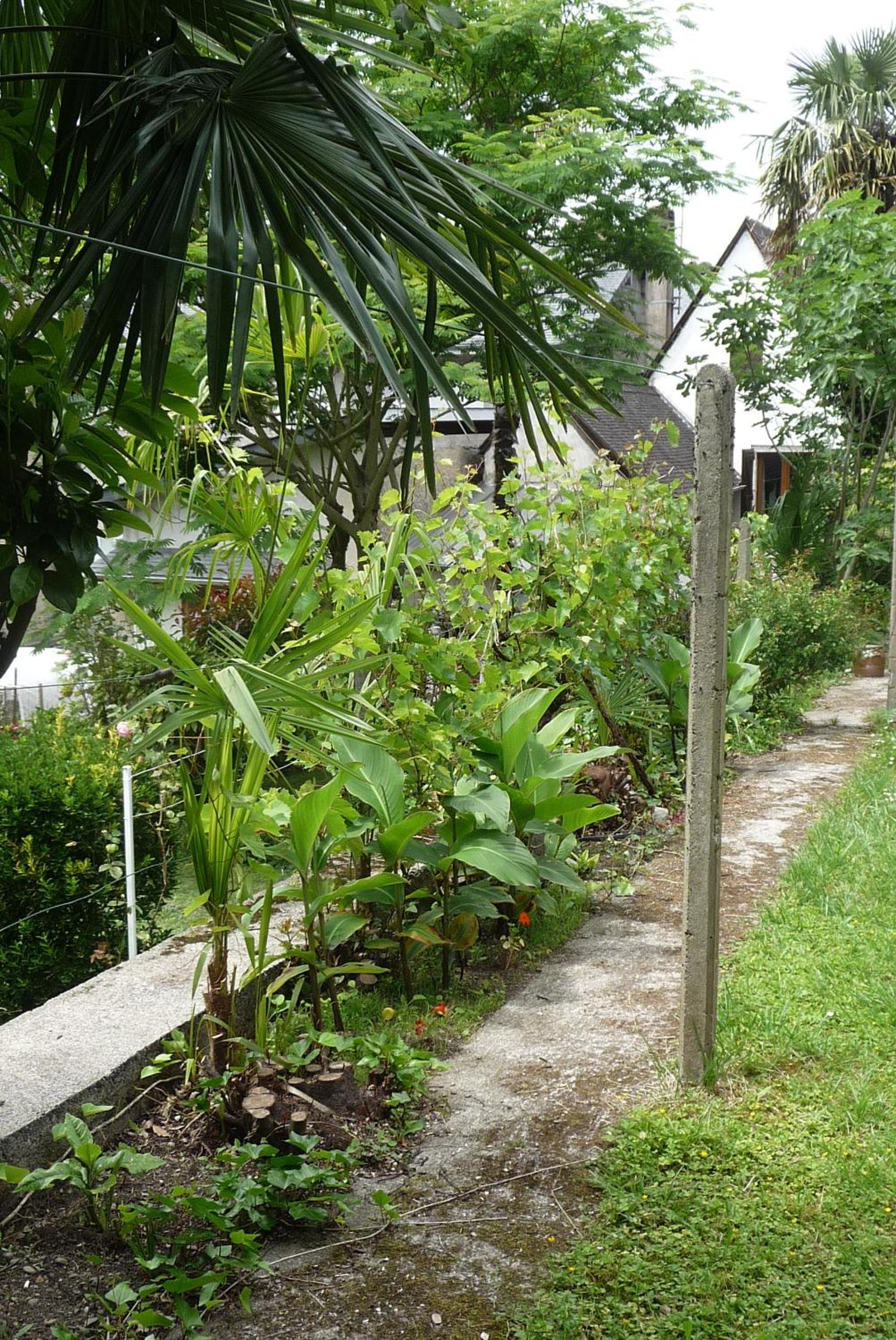 Photo 27