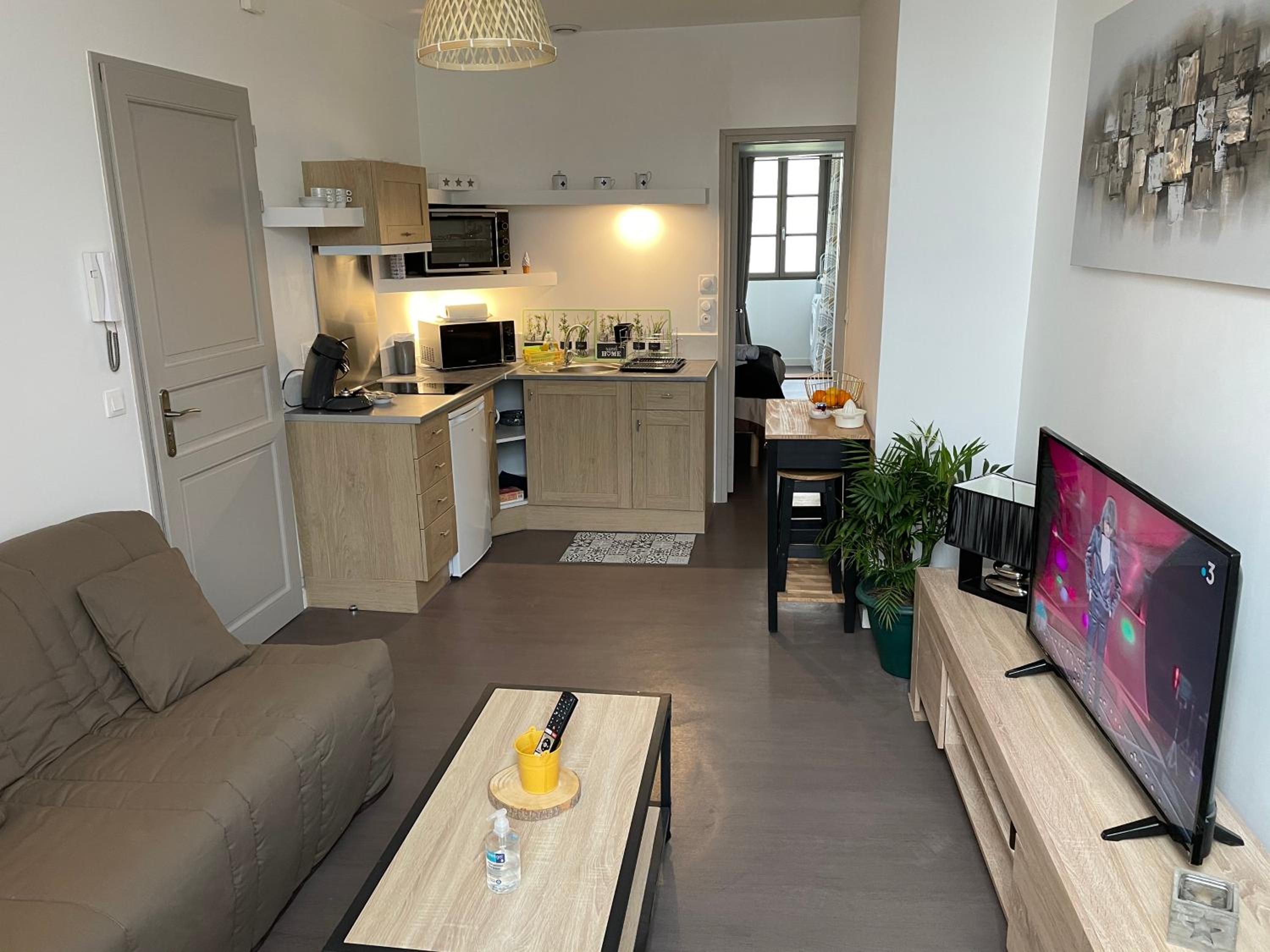 Pau Vacations - logement entier 33 m2 a Pau - Property Image 1