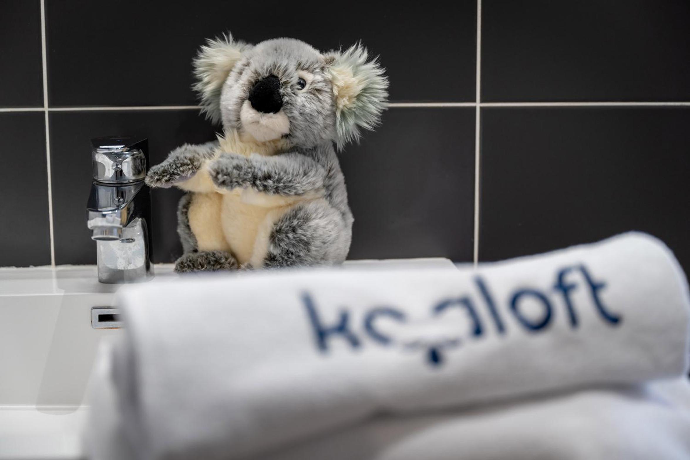 Koaloft, photo 19