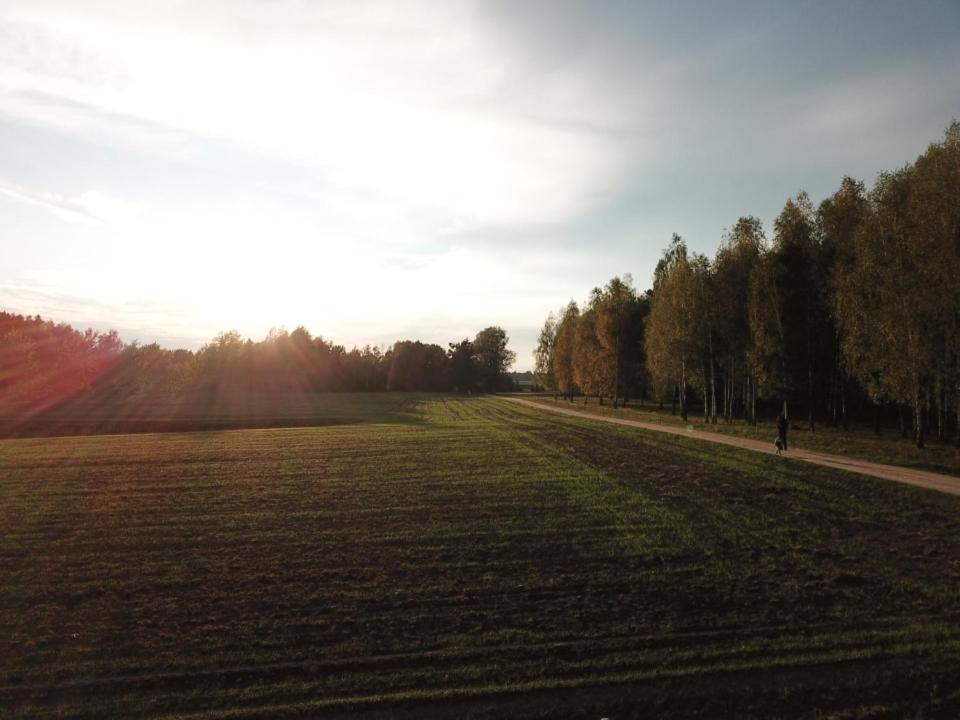 Photo 89