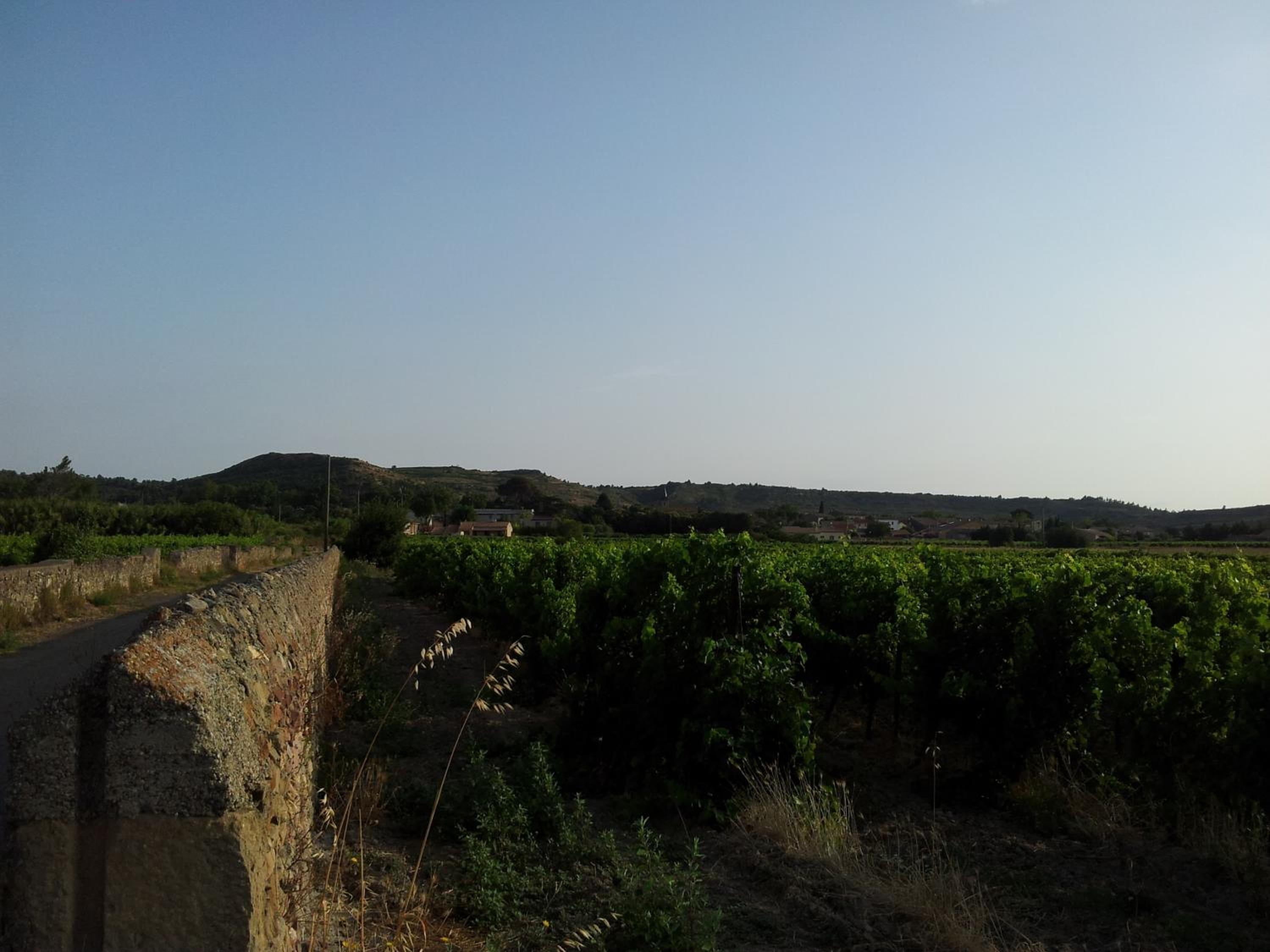 Millot Conilhac
