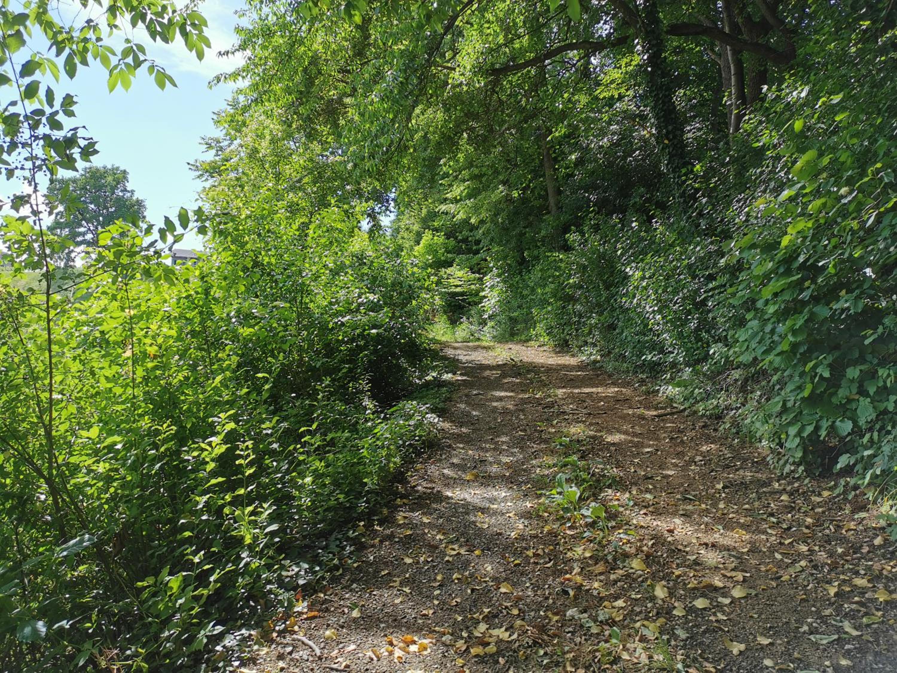 Photo 21