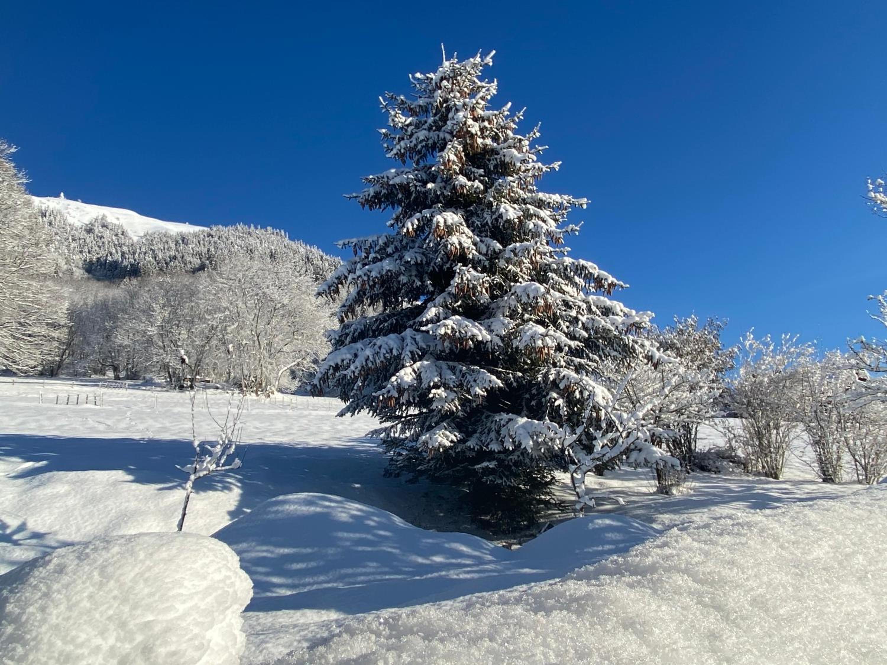 Lodge Jardin Secret - Propriétés Mont Amour