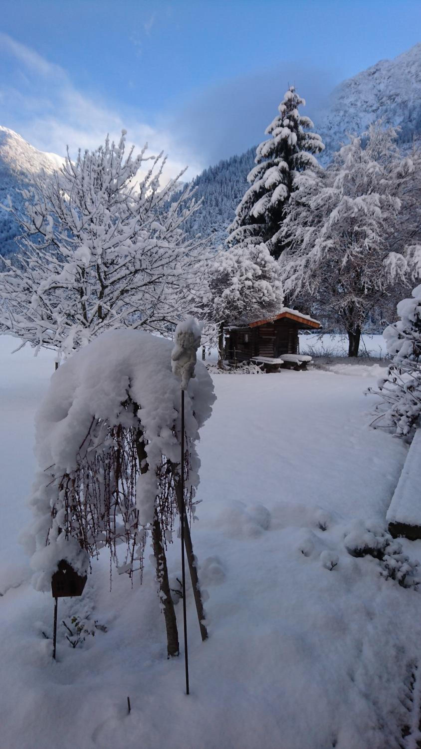 Gästehaus Auer view 4