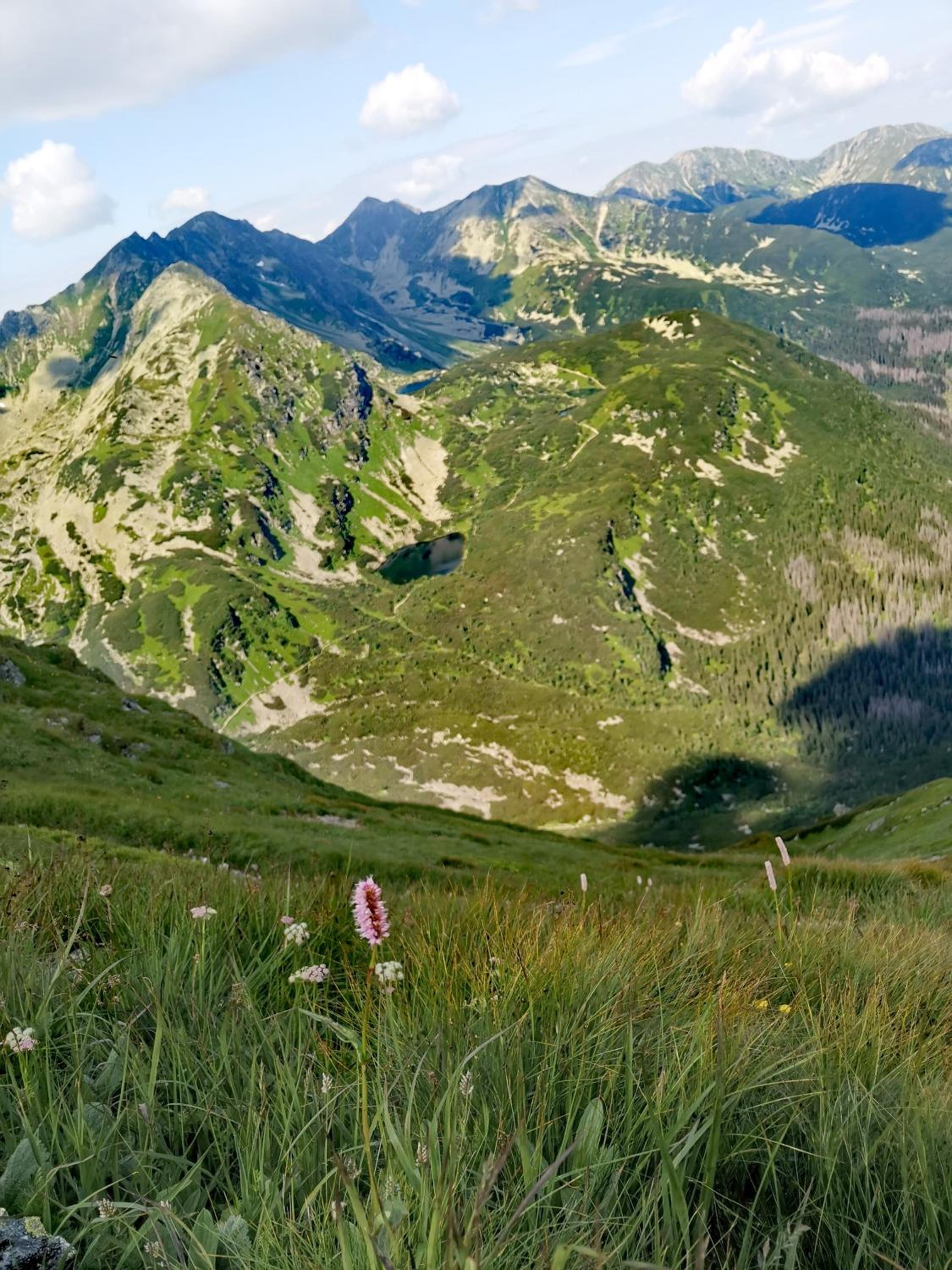 Privat Mima view 5