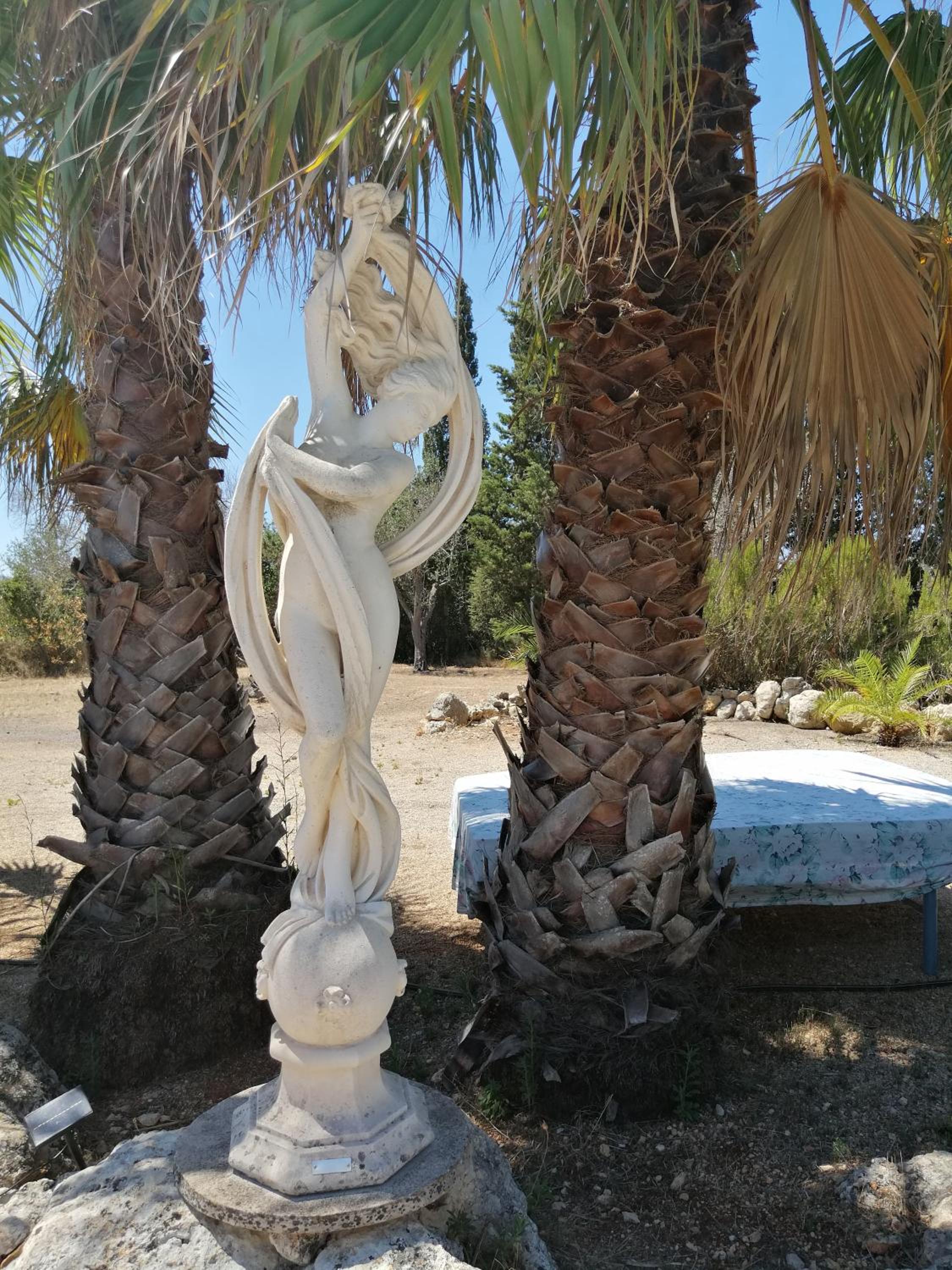 Photo 28