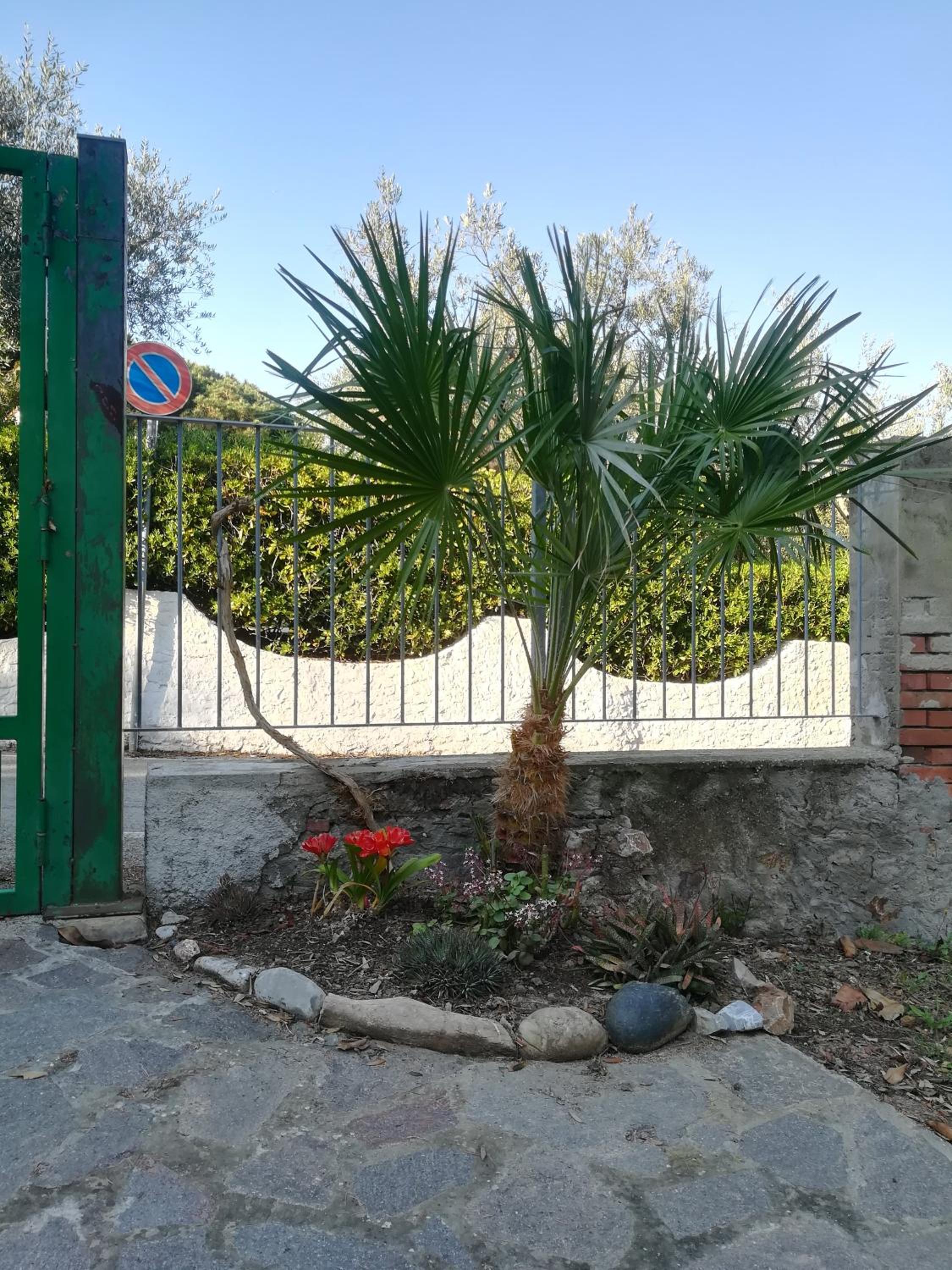 Casa San Giuseppe - Isola d'Elba