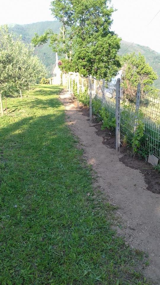 Photo 66