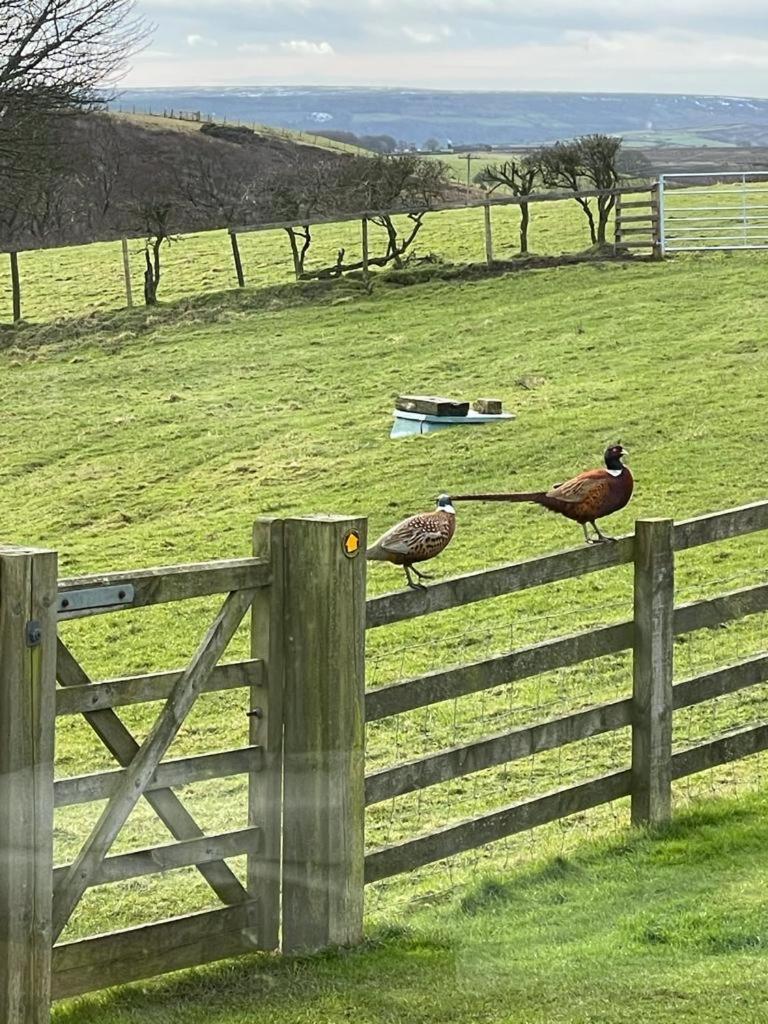 Folly Hall Farm