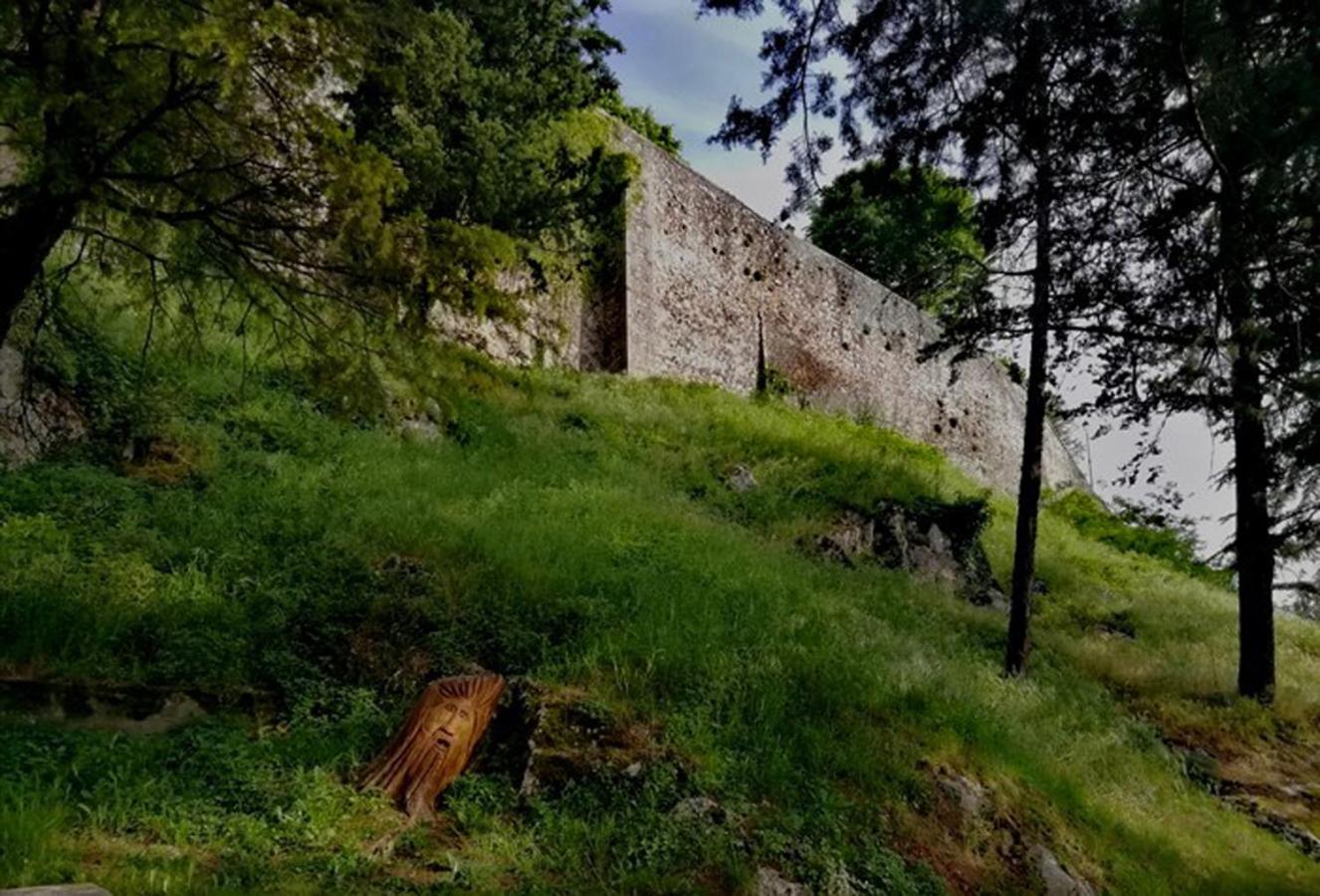 Photo 28