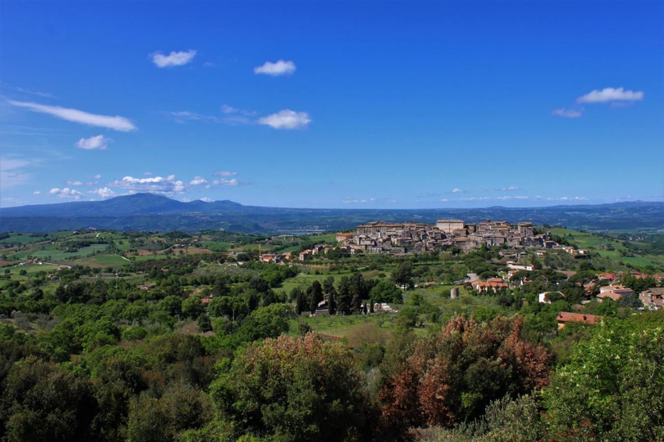 La Loggetta casa vacanze view 4