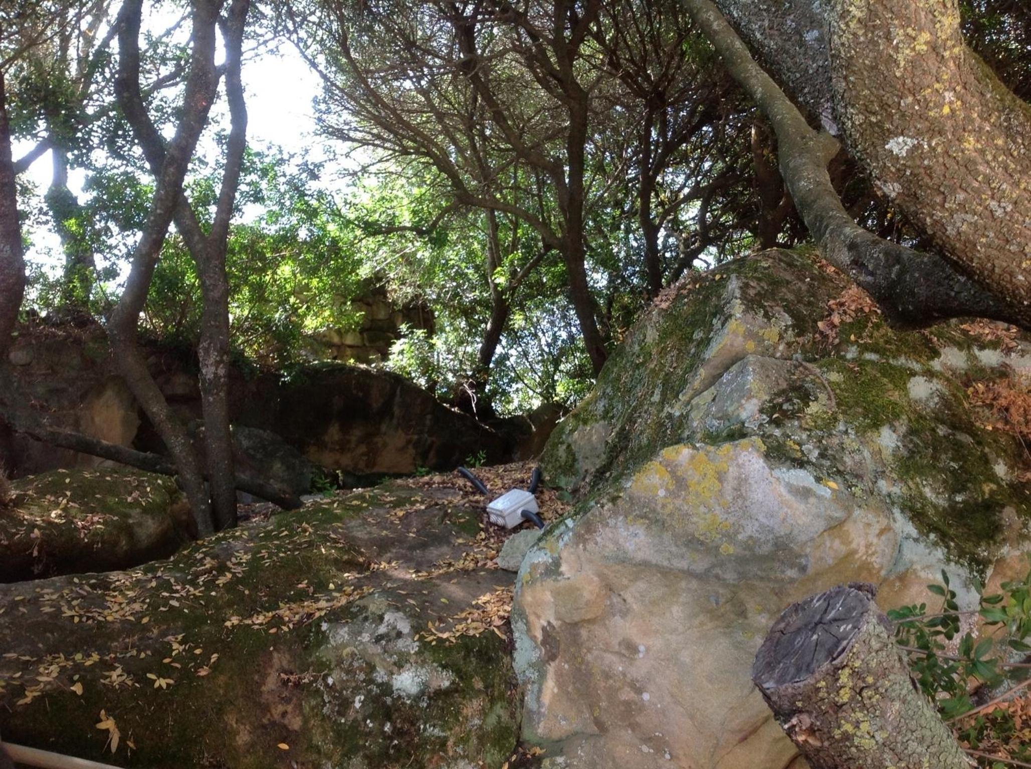 Photo 40
