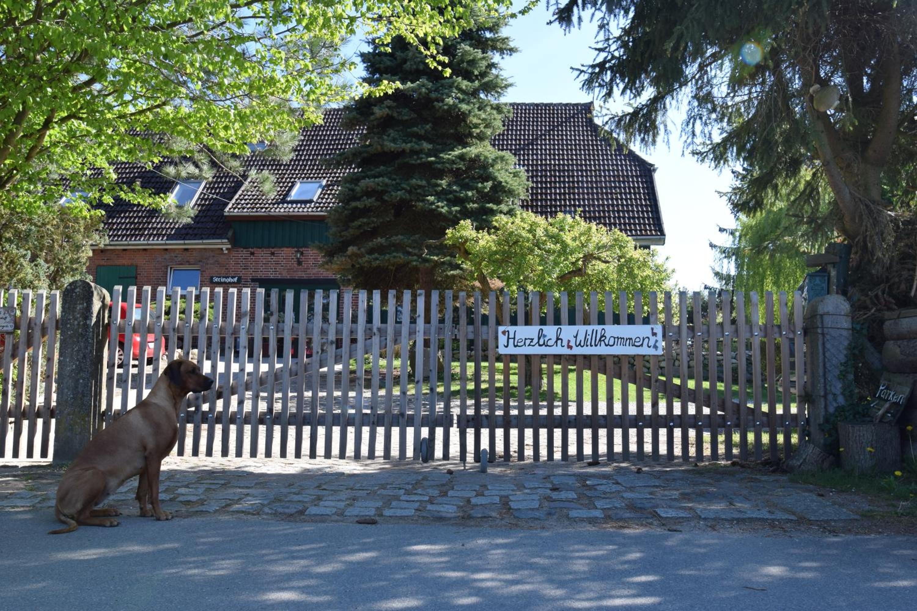 Alpakatherapie und Ferienhof Charlottenthal