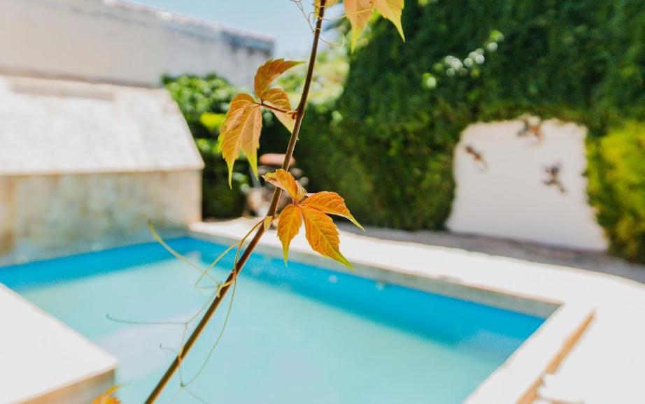 Casa Martha Suites