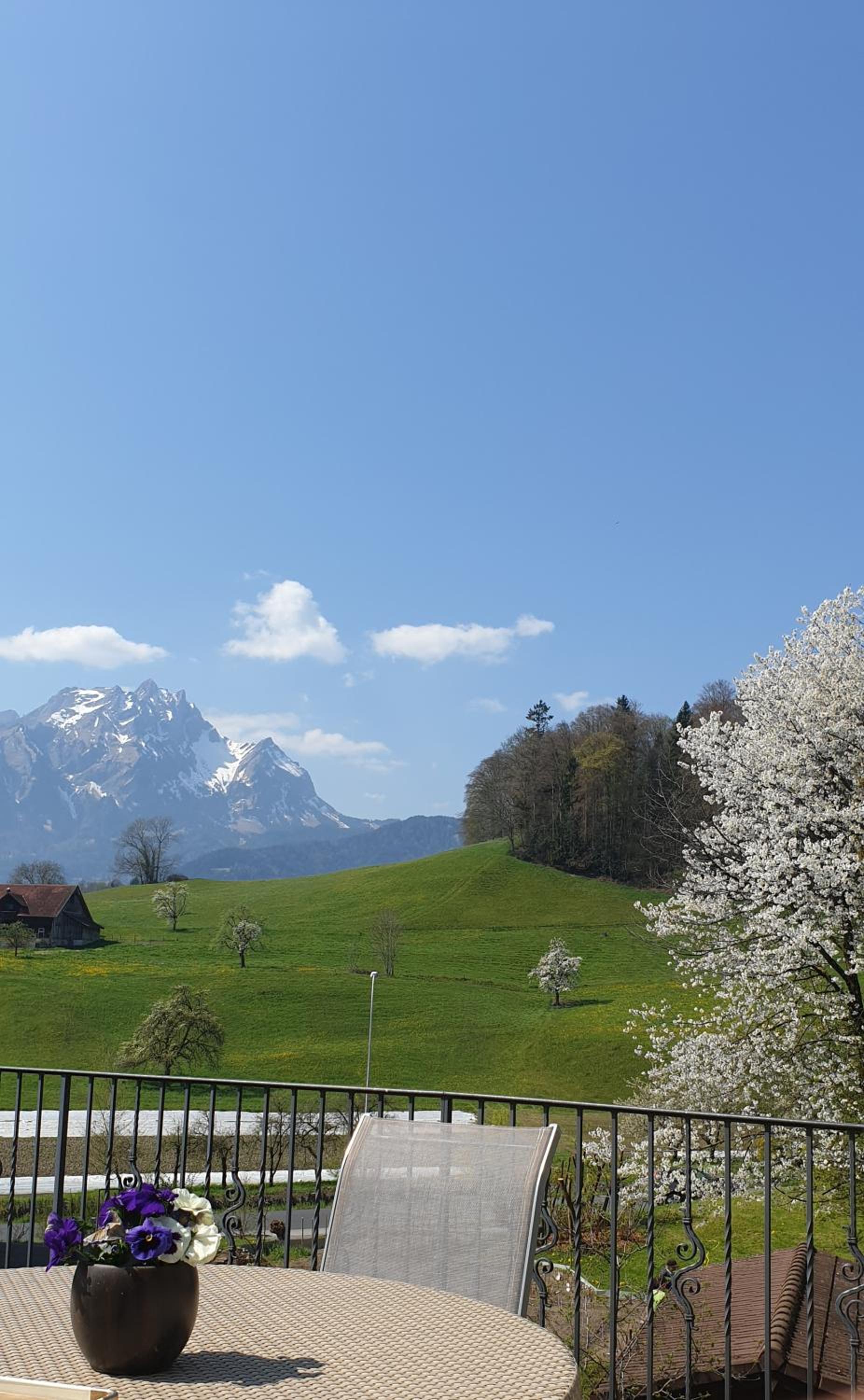 Villa Castagna Guesthouse