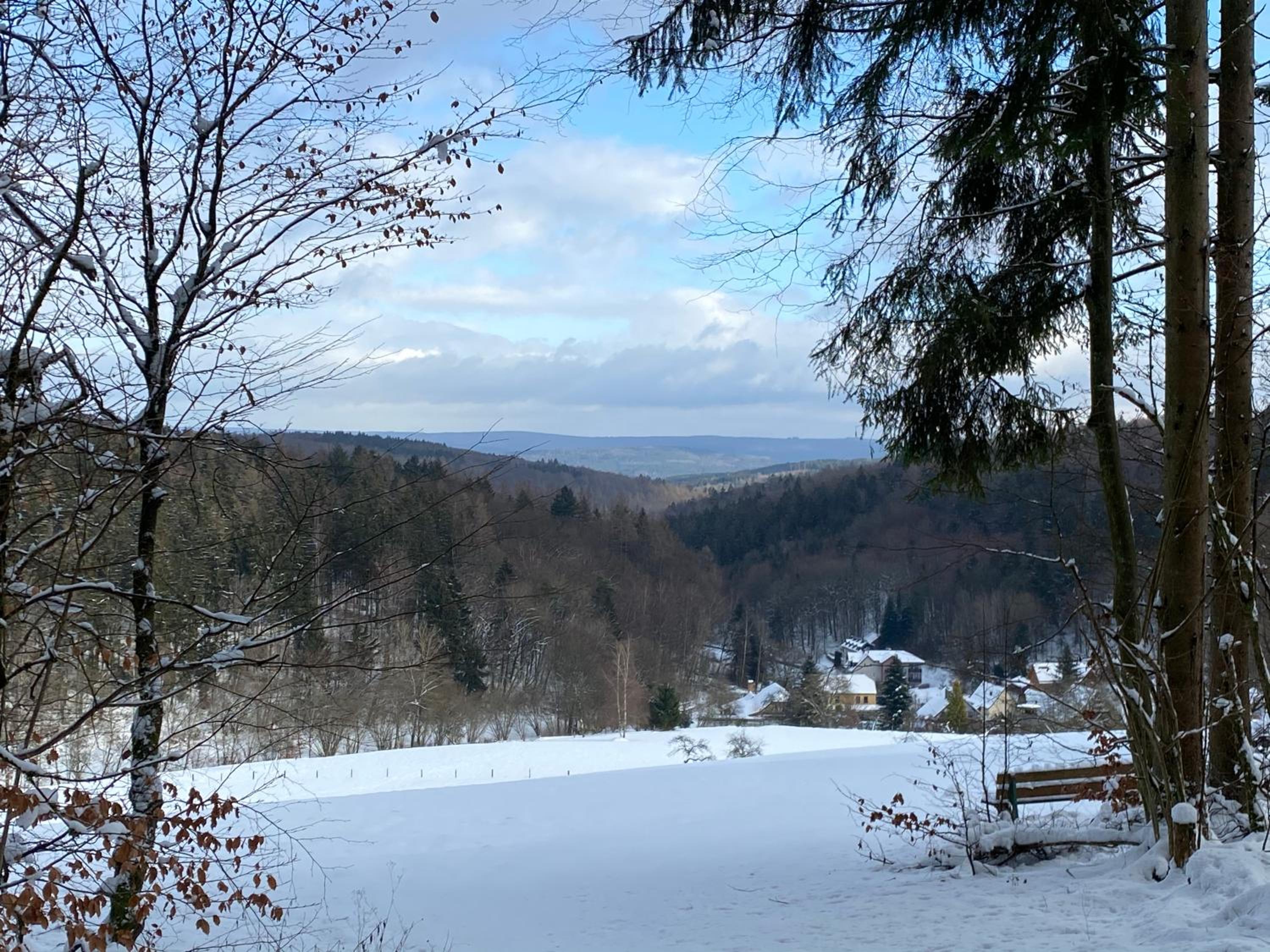 Zum waldfrieden view 3